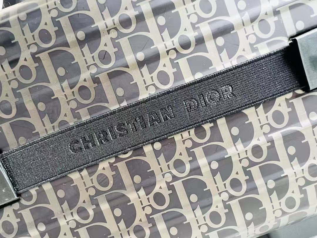 DIOR*RIMOWA suitcase