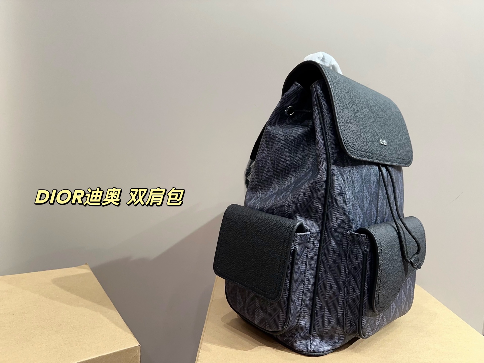 DIOR backpack