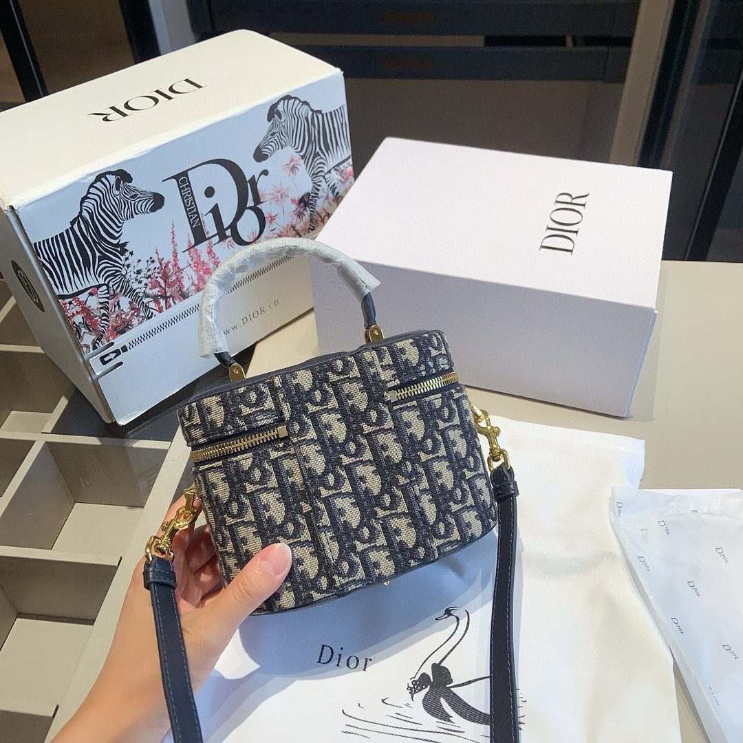 Dior Oblique Mini Case Bag