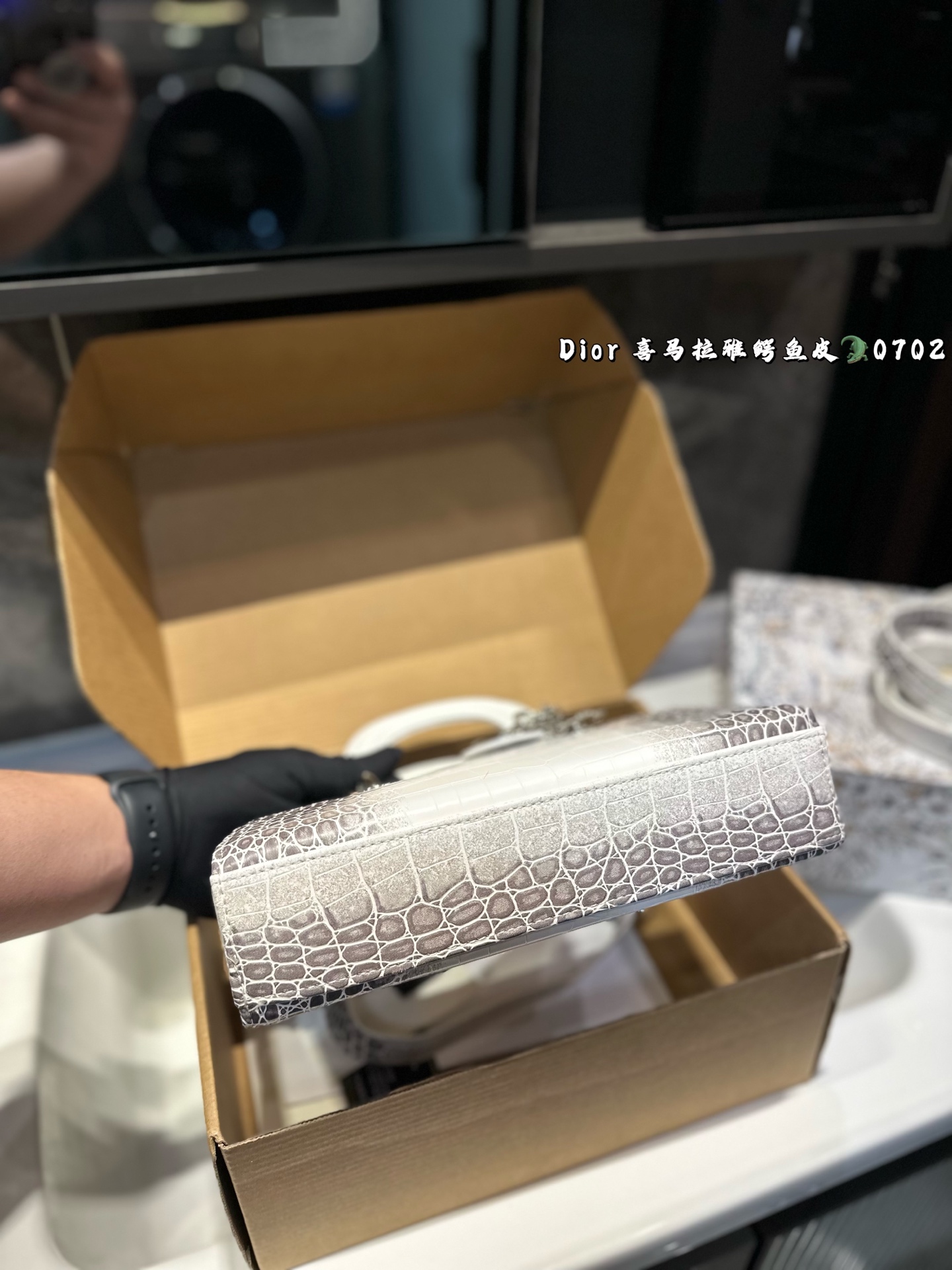 DIOR Lady D-joy horizontal Diana bag