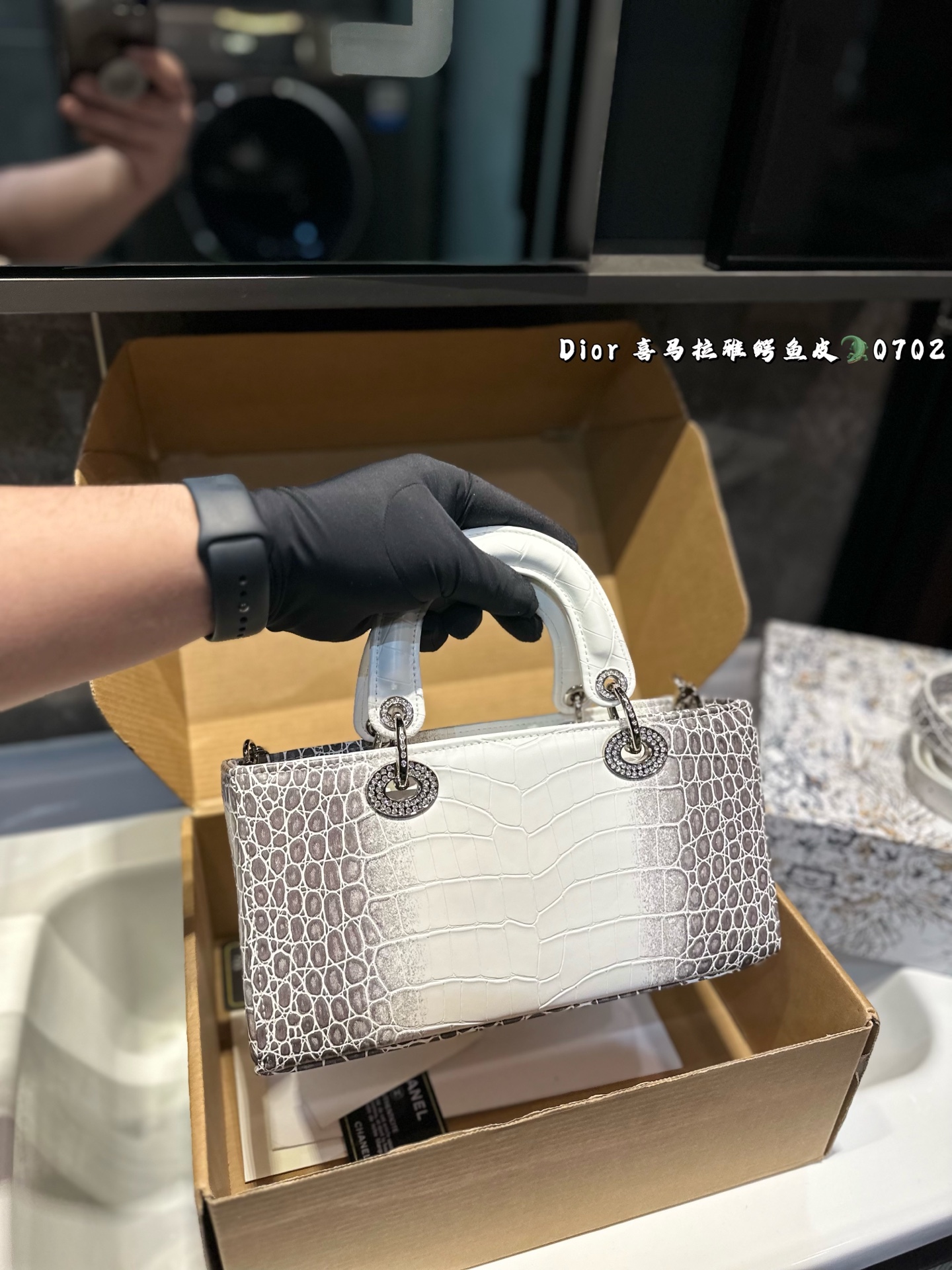 DIOR Lady D-joy horizontal Diana bag