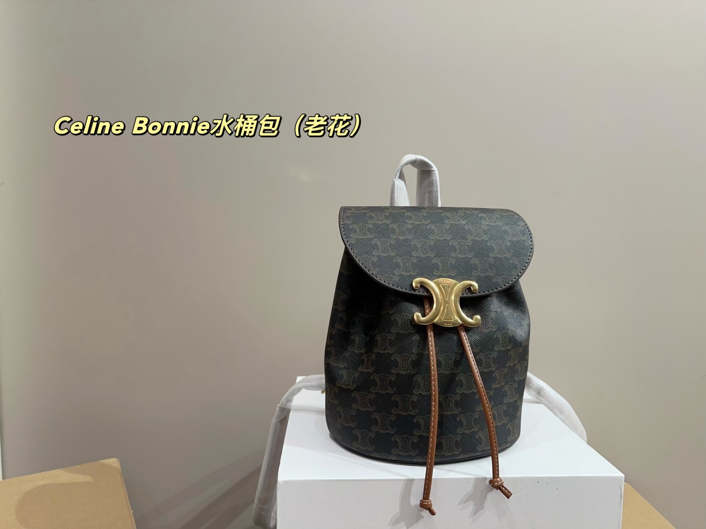 Celine Bonnie bucket bag