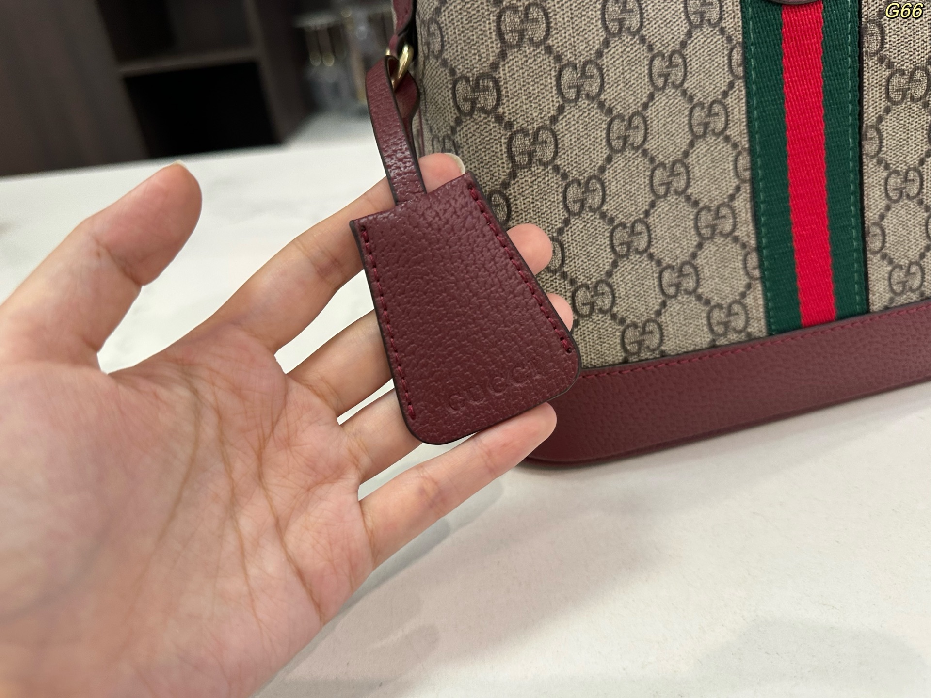 Gucci's new Ophidia series small hobo bag