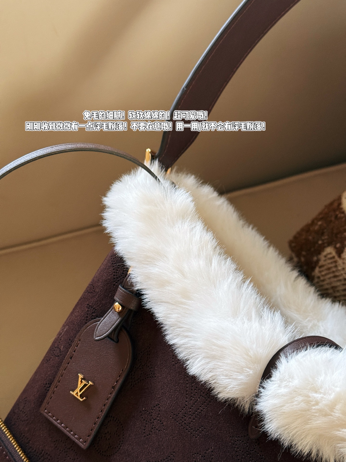 LV CARRYALL BAG —— SK Skiing Collection