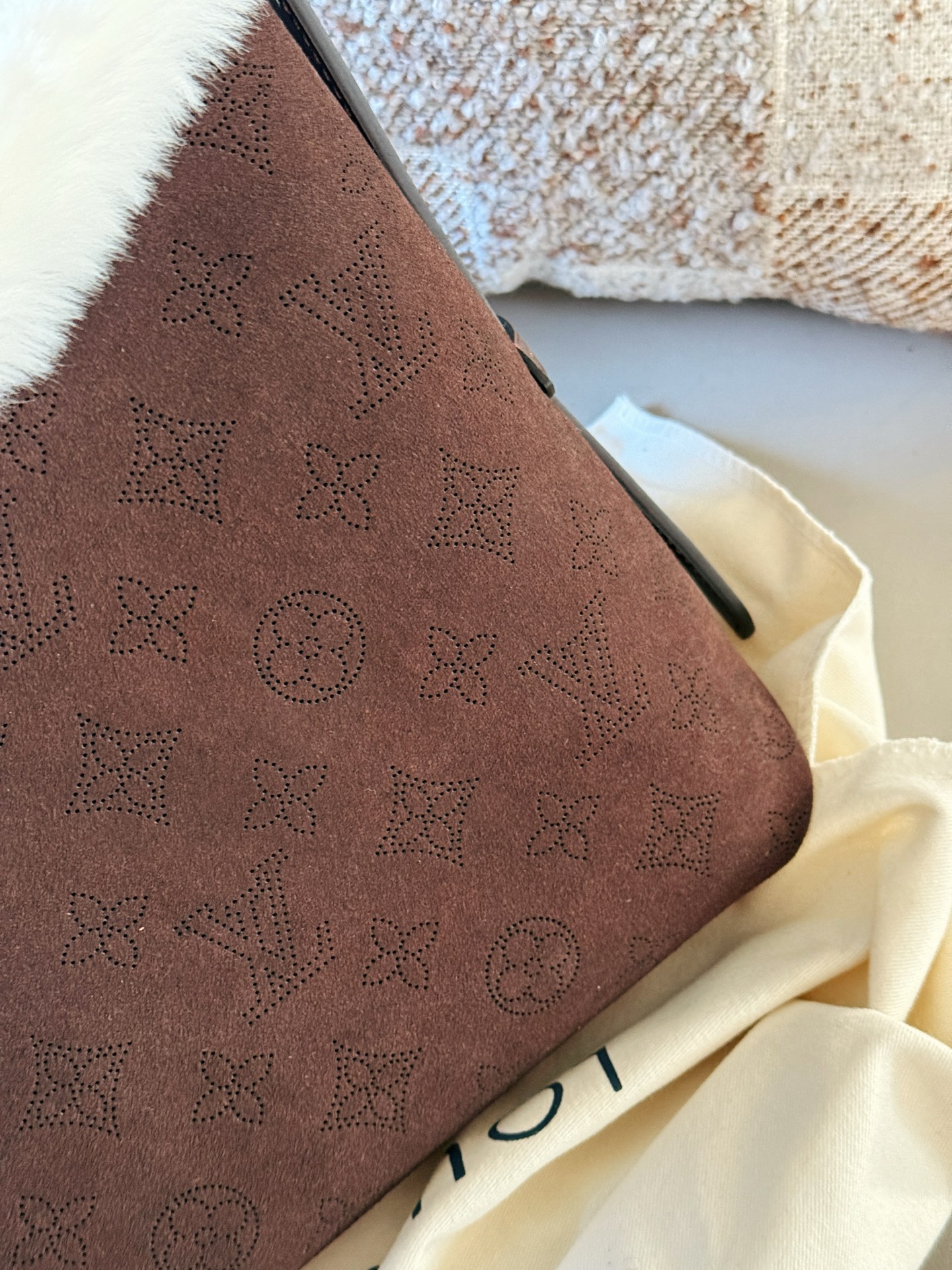 LV CARRYALL BAG —— SK Skiing Collection