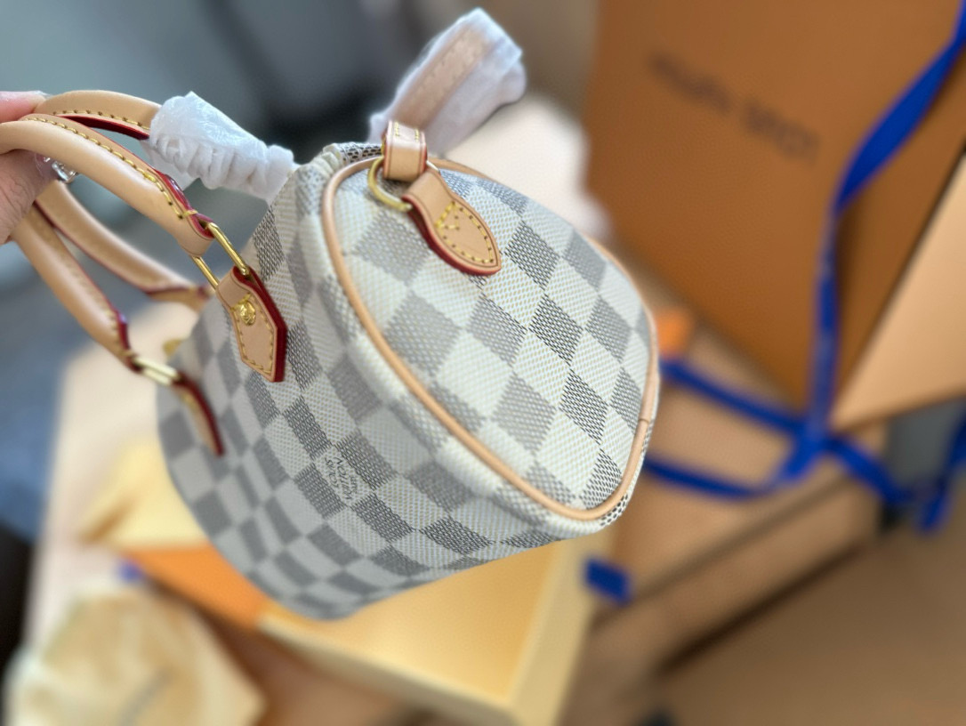 LV Checkered Pillowcase Bag NANO SPEEDY Handbag Monogram Bag