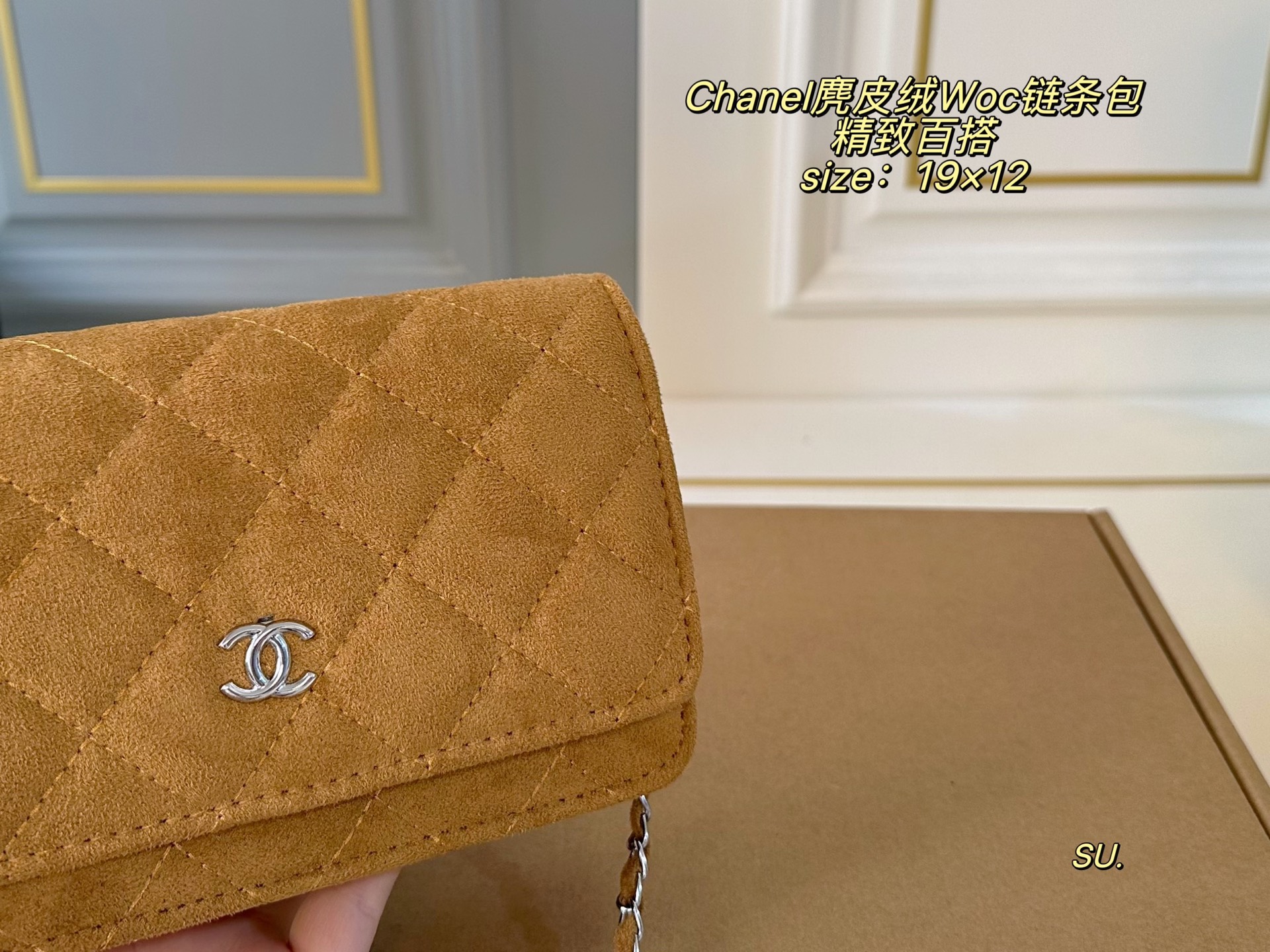 CHANEL Suede WOC Chain shoulder Bag