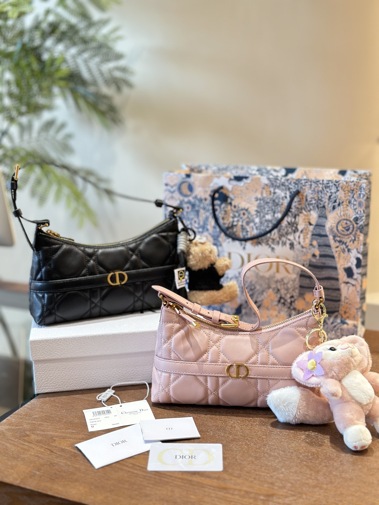 Dior HOBO underarm bag