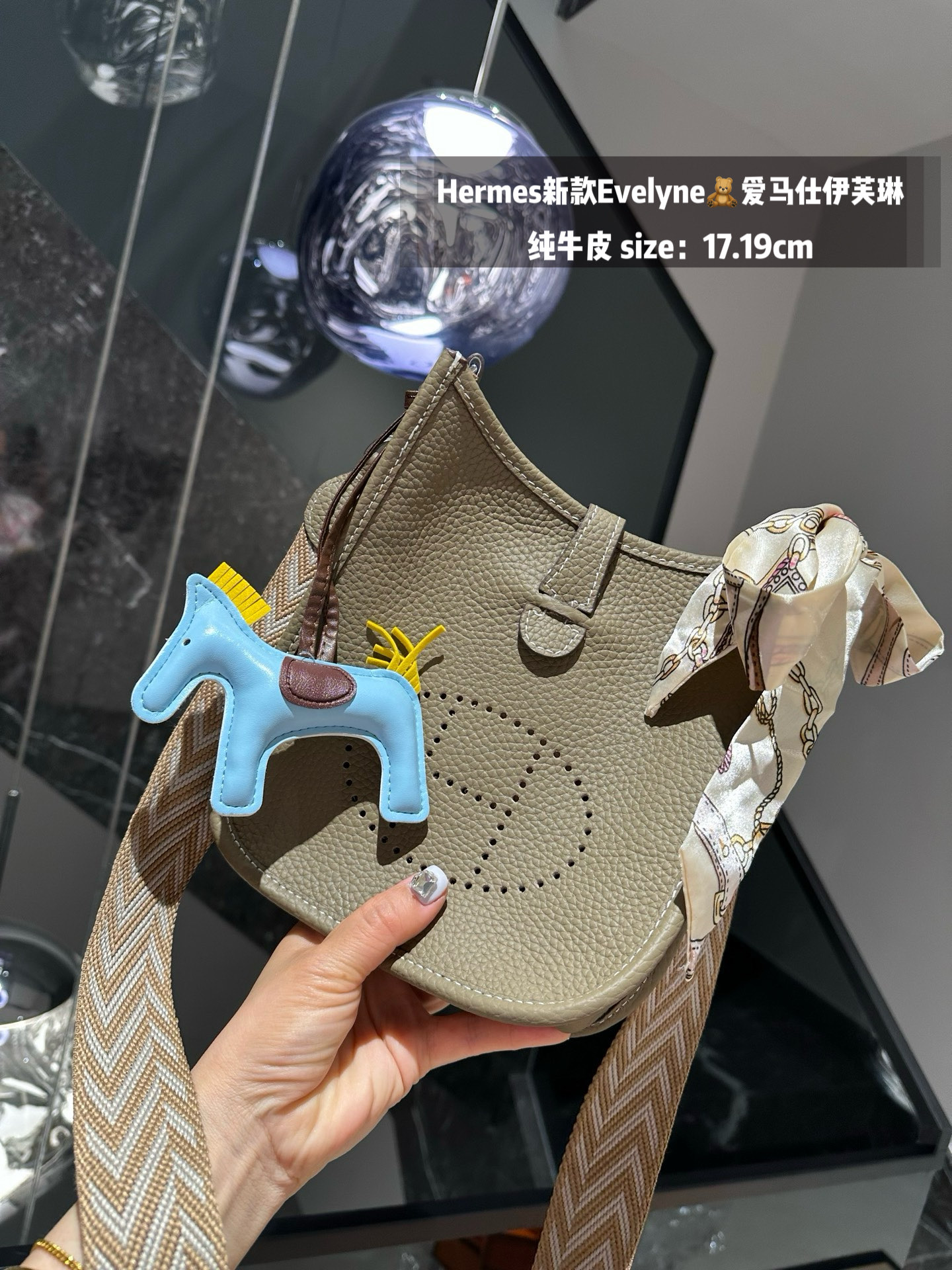 Hermes Evelyn bag