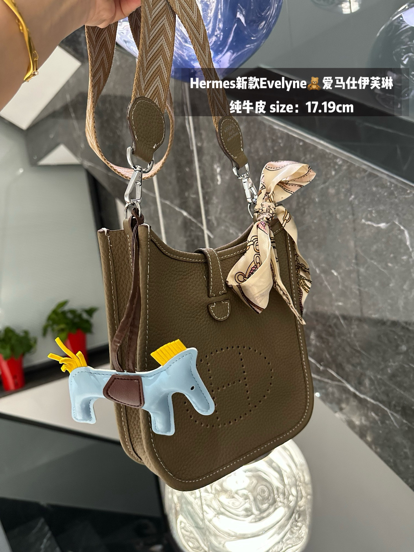 Hermes Evelyn bag
