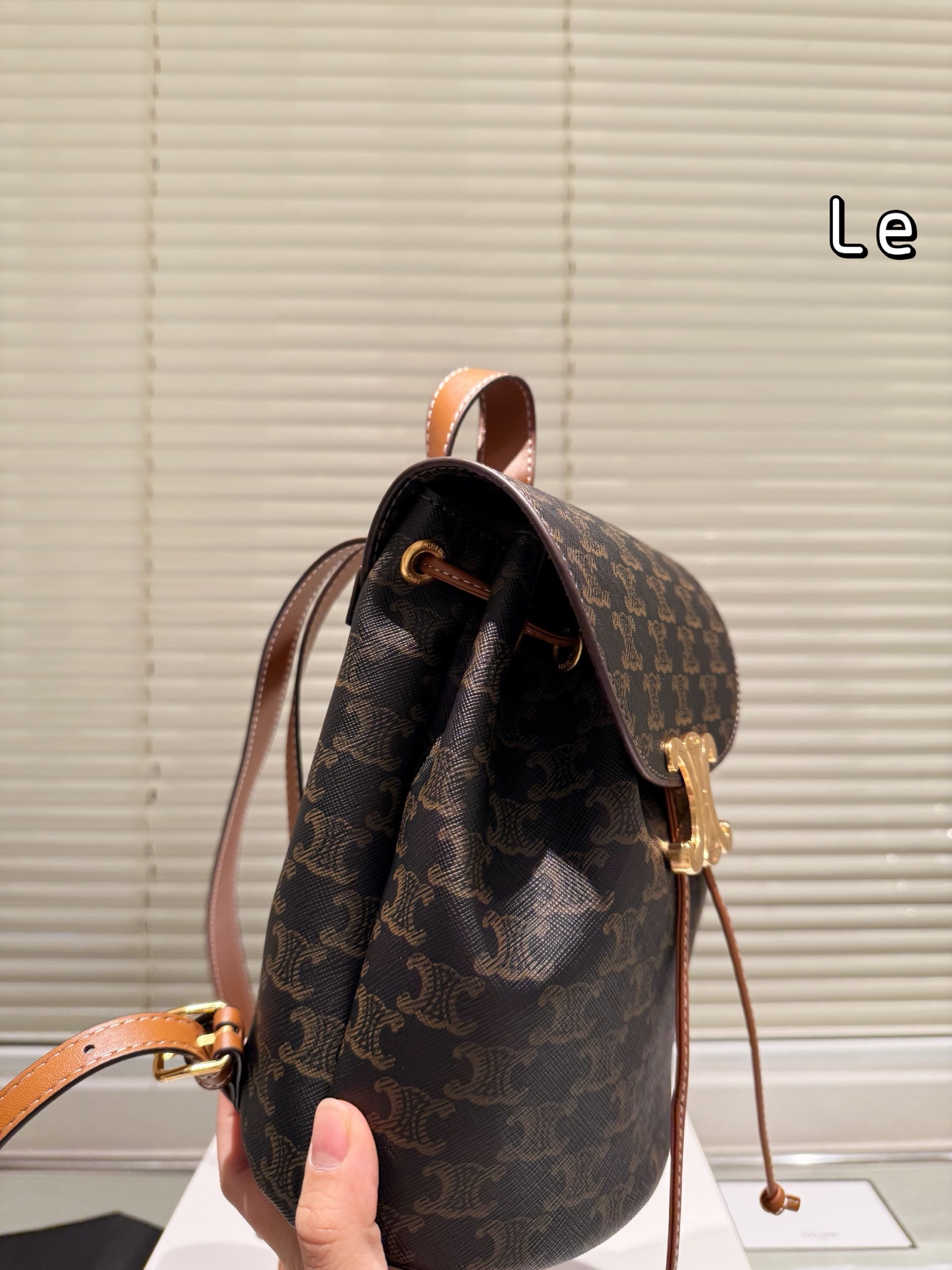 New Celine reading backpack