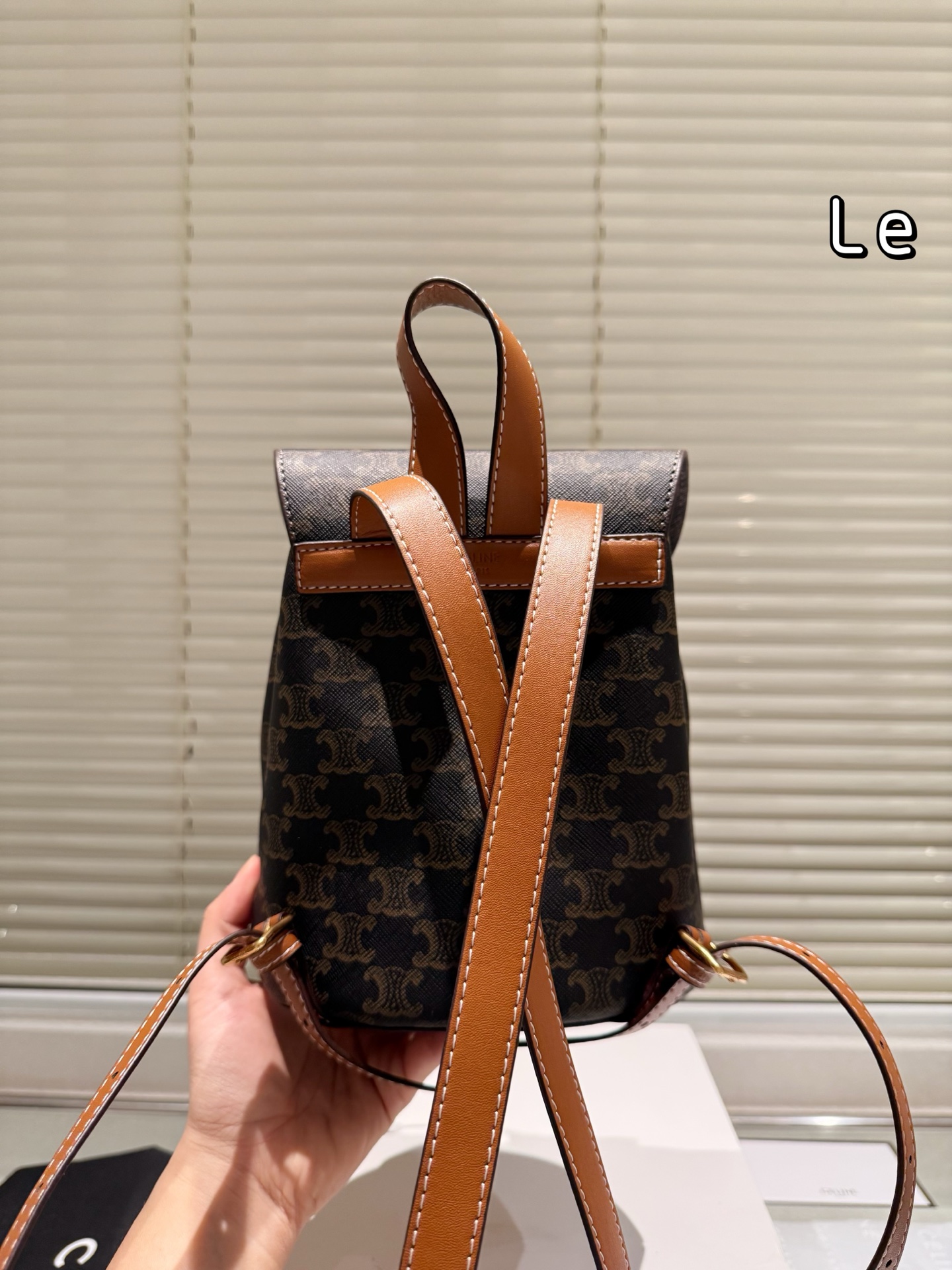 New Celine reading backpack