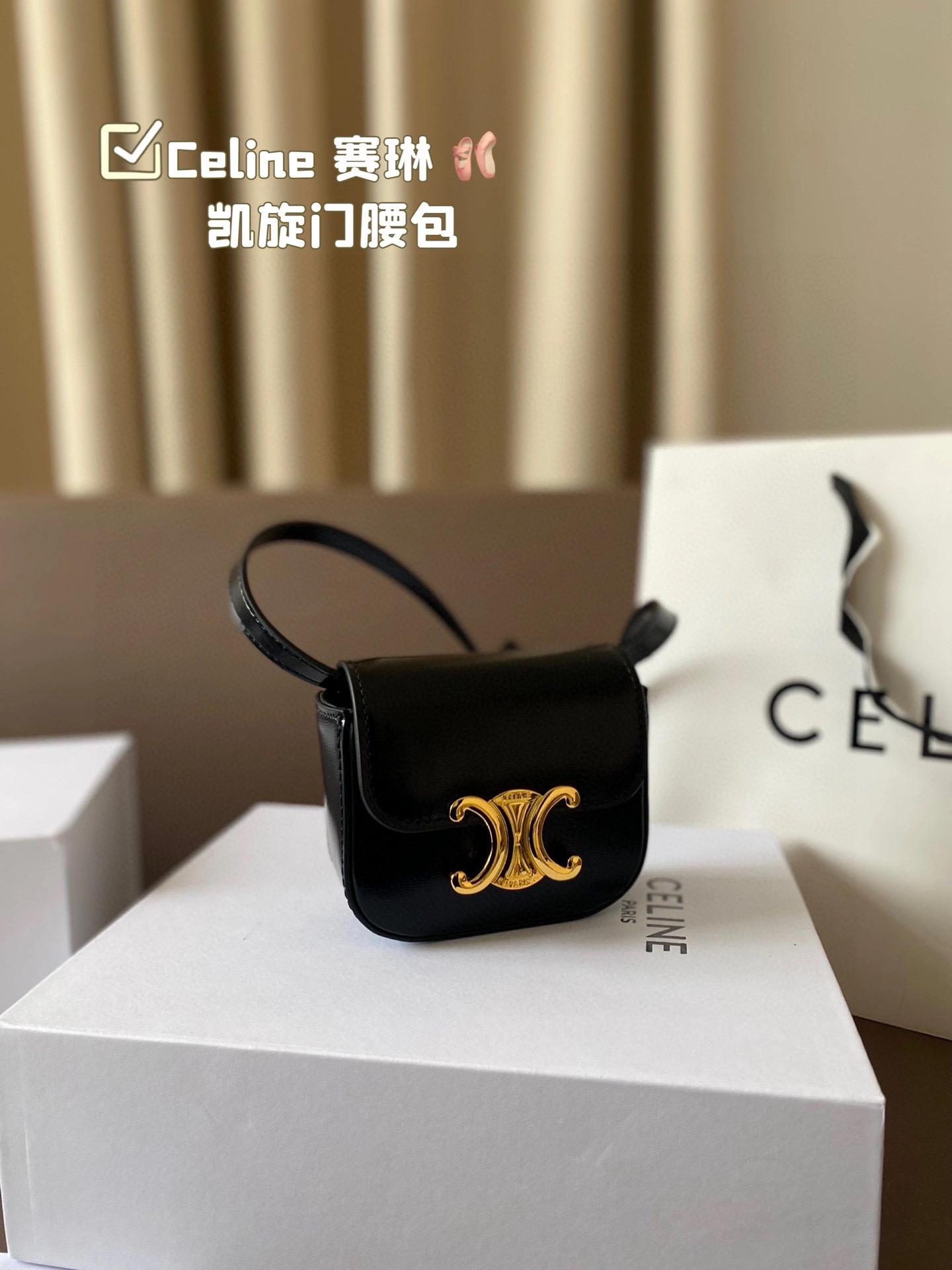 Celine Waist Bag