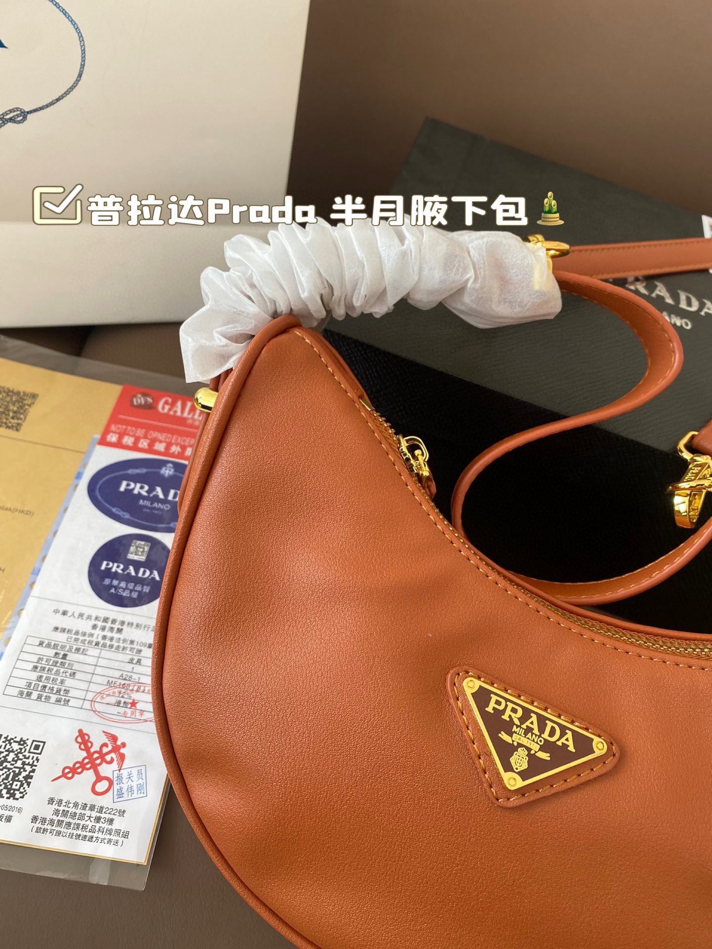 Prada Half Moon armpit Crossbody Bag