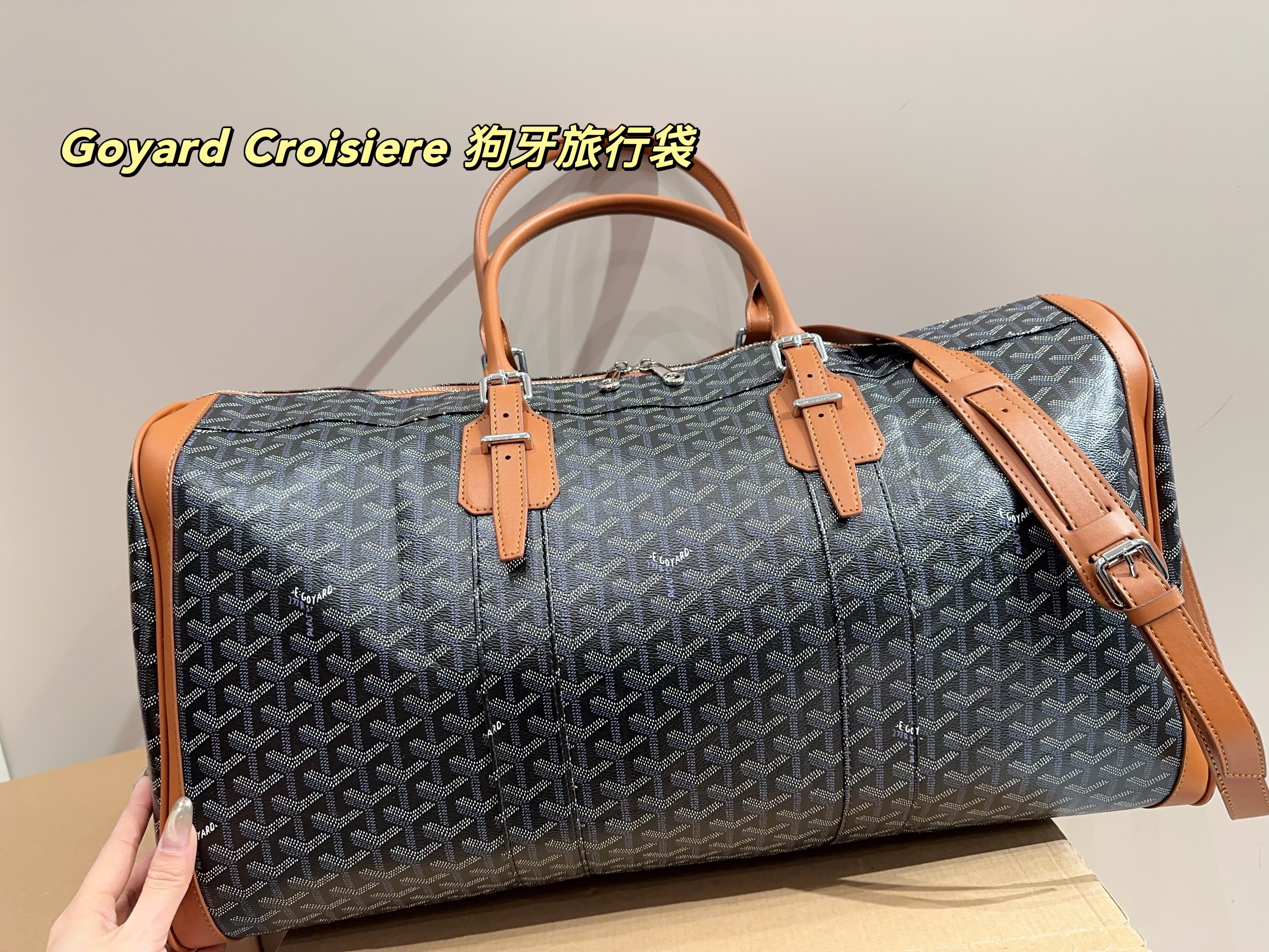 Goyard Croisiere  Travel Bag