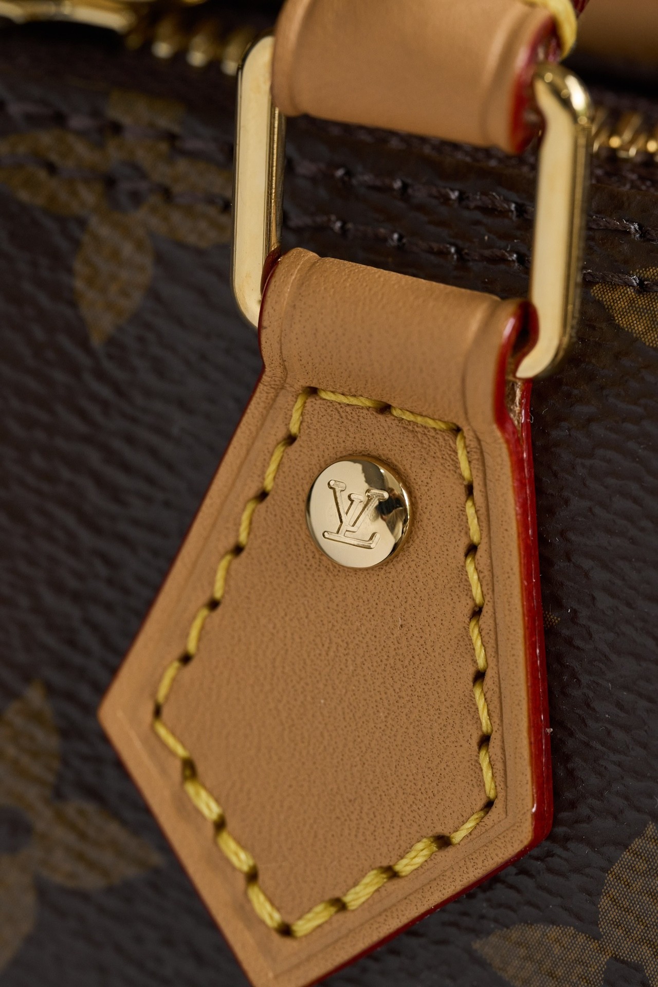 Top version LV nano speedy monogram shoulder bag