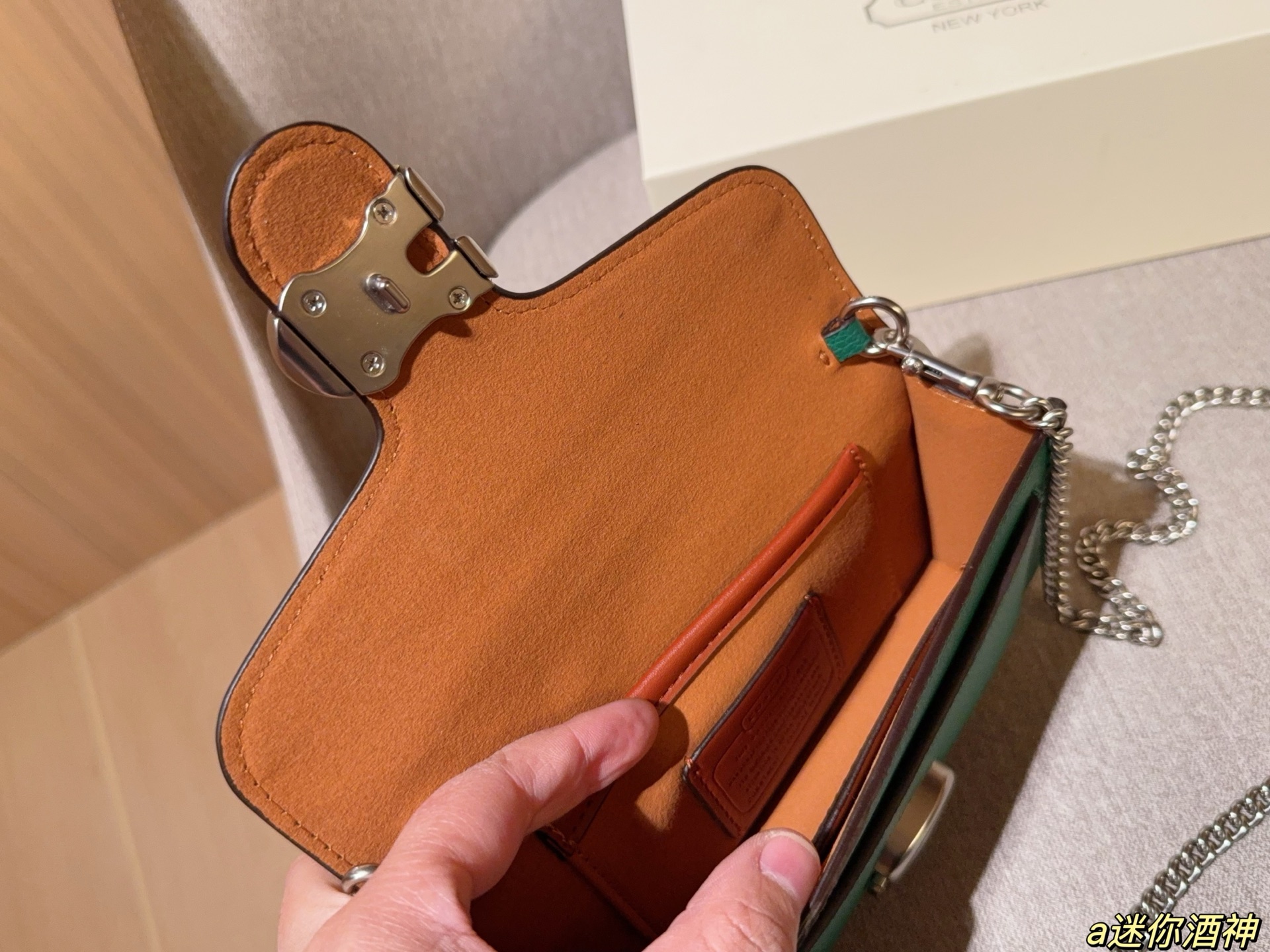 Coach Mini Tabby Chain Bag Dionysus Bag