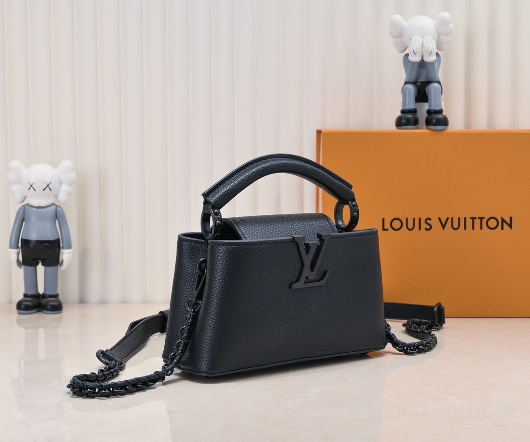 LV CAPUCINES EAST WEST handbag