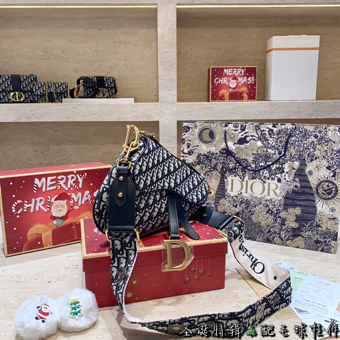 DIOR saddle bag - Christmas gift box version