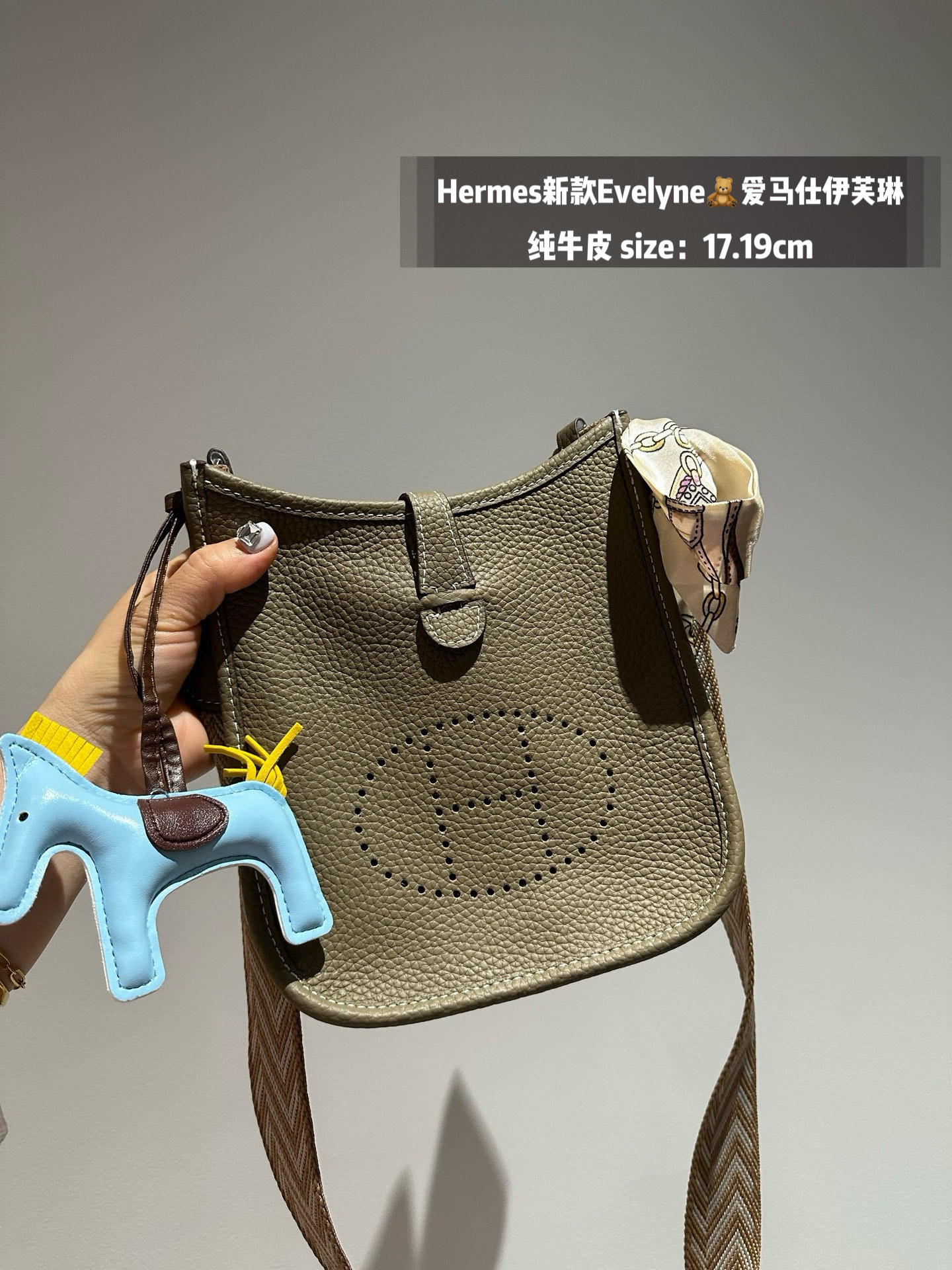 Hermes Evelyn bag
