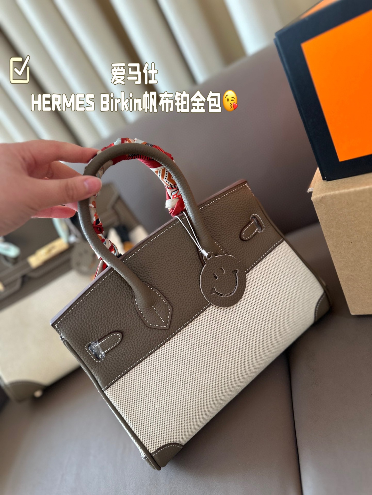 HERMES Birkin Canvas platinum bag