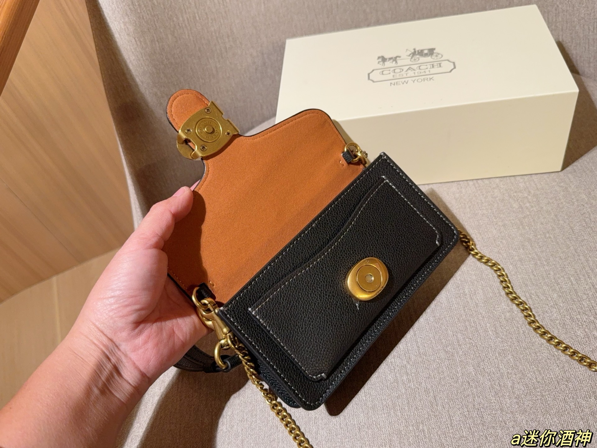 Coach Mini Tabby Chain Bag Dionysus Bag