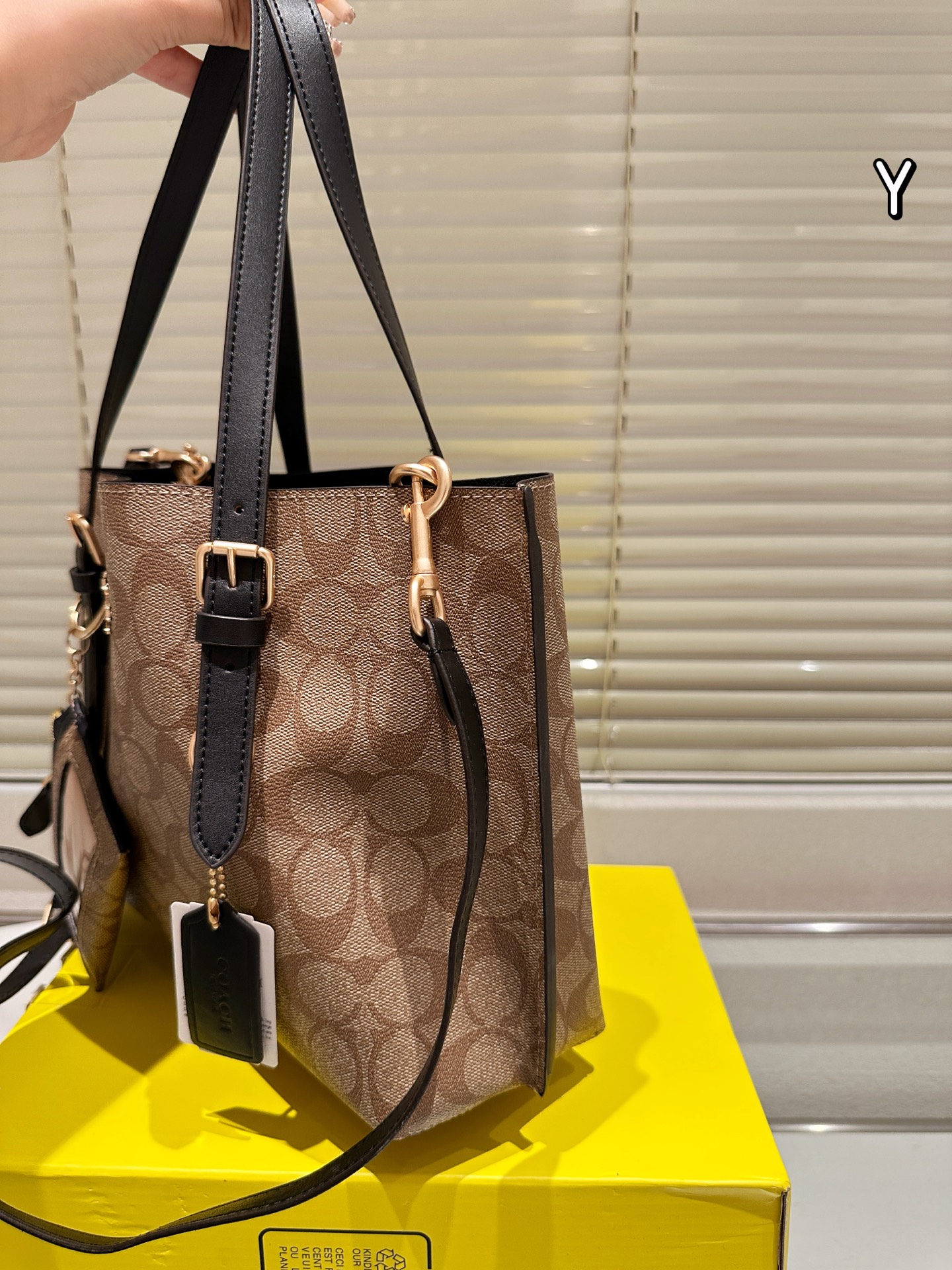 Coach mollie25 tote handbag