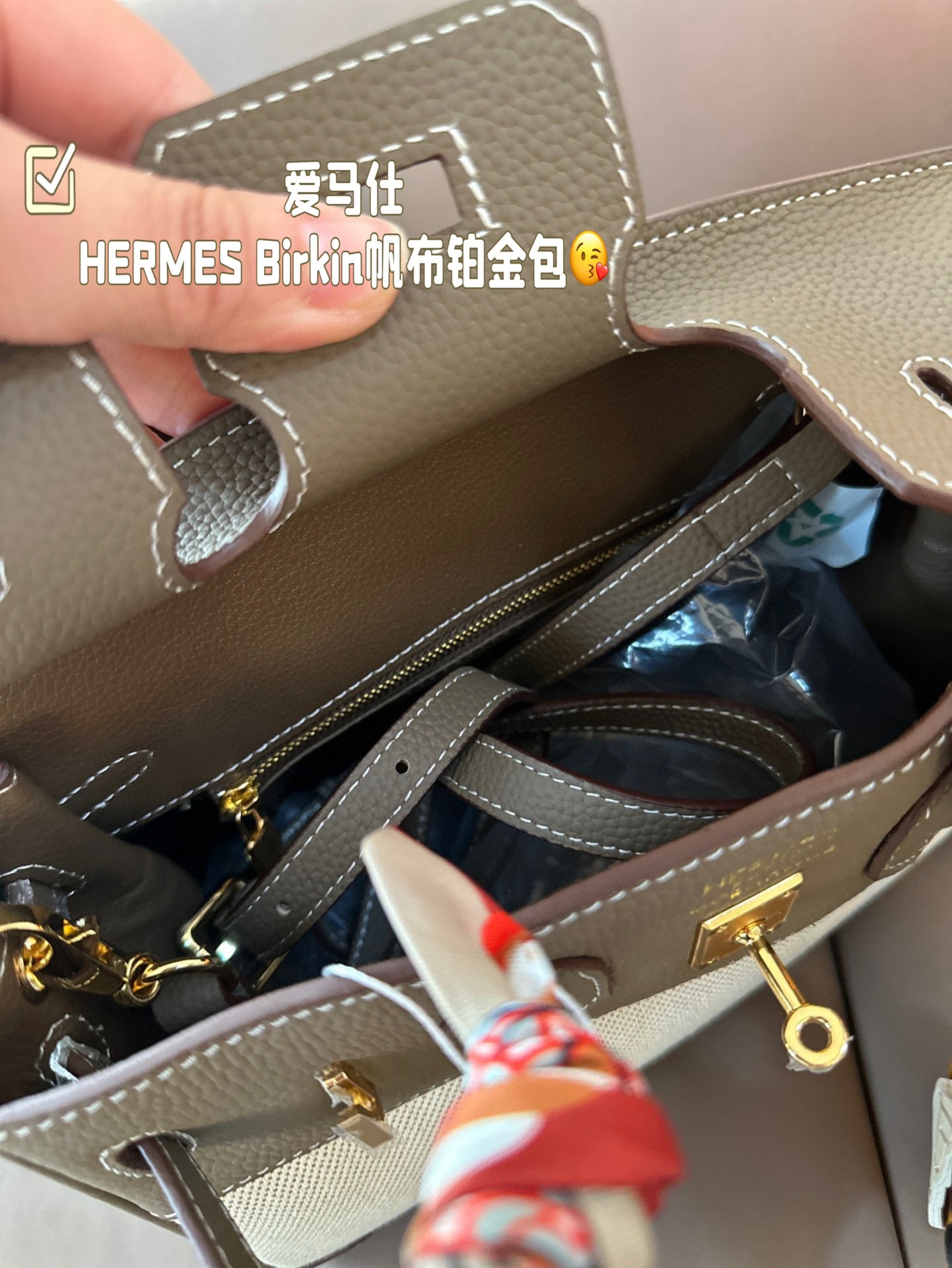 HERMES Birkin Canvas platinum bag