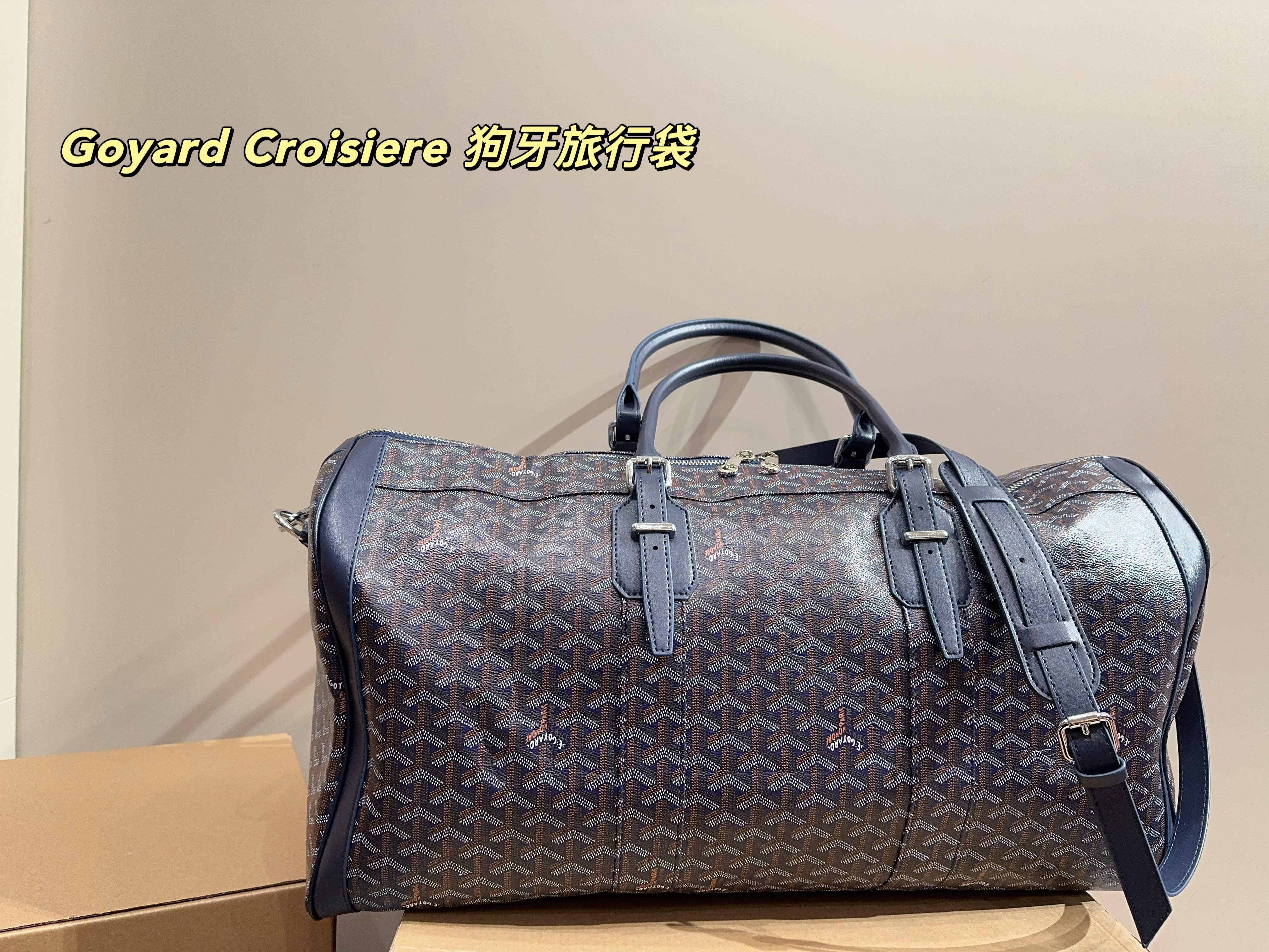 Goyard Croisiere  Travel Bag