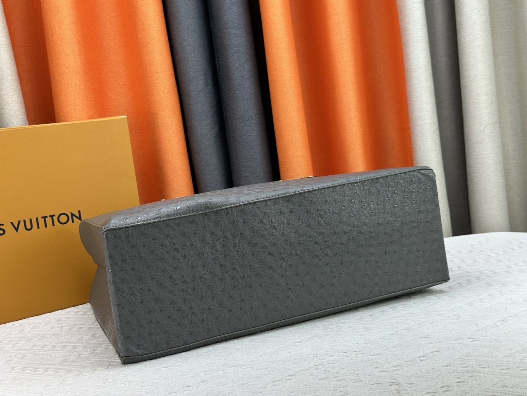 LV shoer maison fondee en 1854 handbag