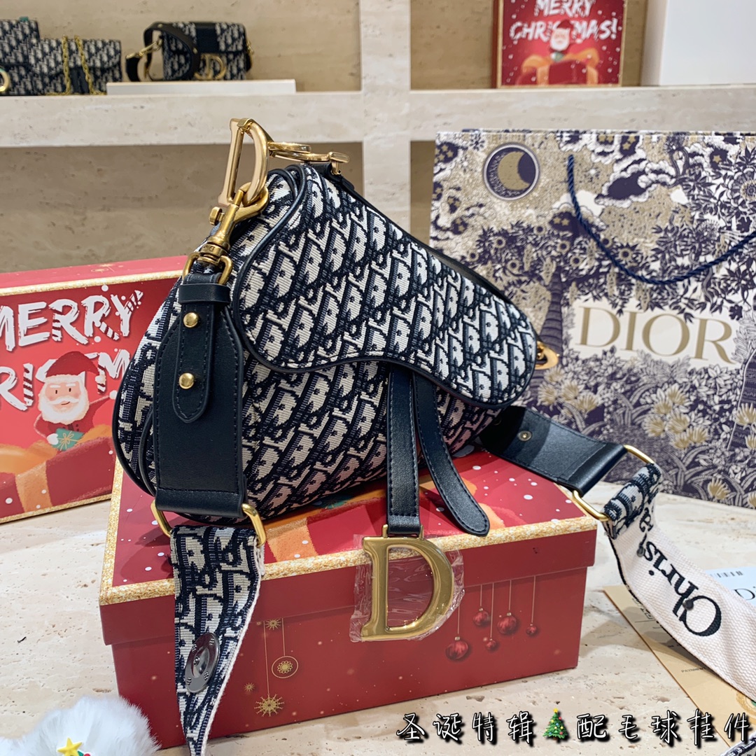 DIOR saddle bag - Christmas gift box version