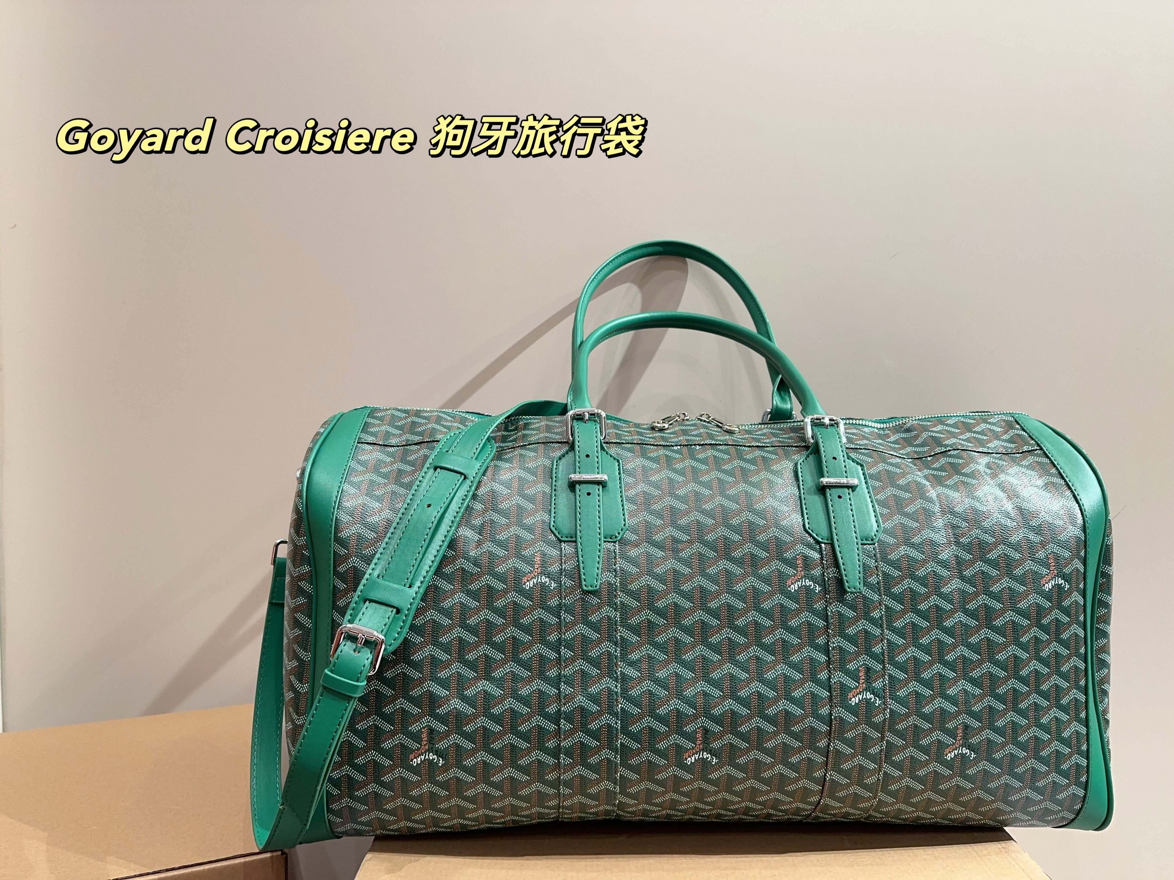 Goyard Croisiere  Travel Bag