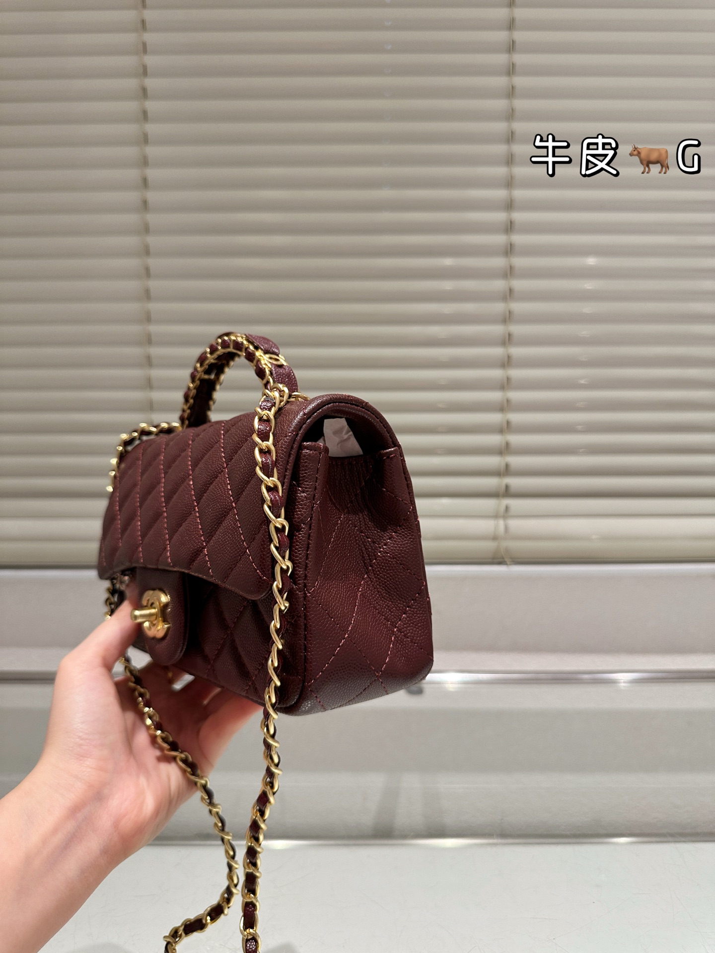 CHANEL 25b Double C Braided Handle CF Bag
