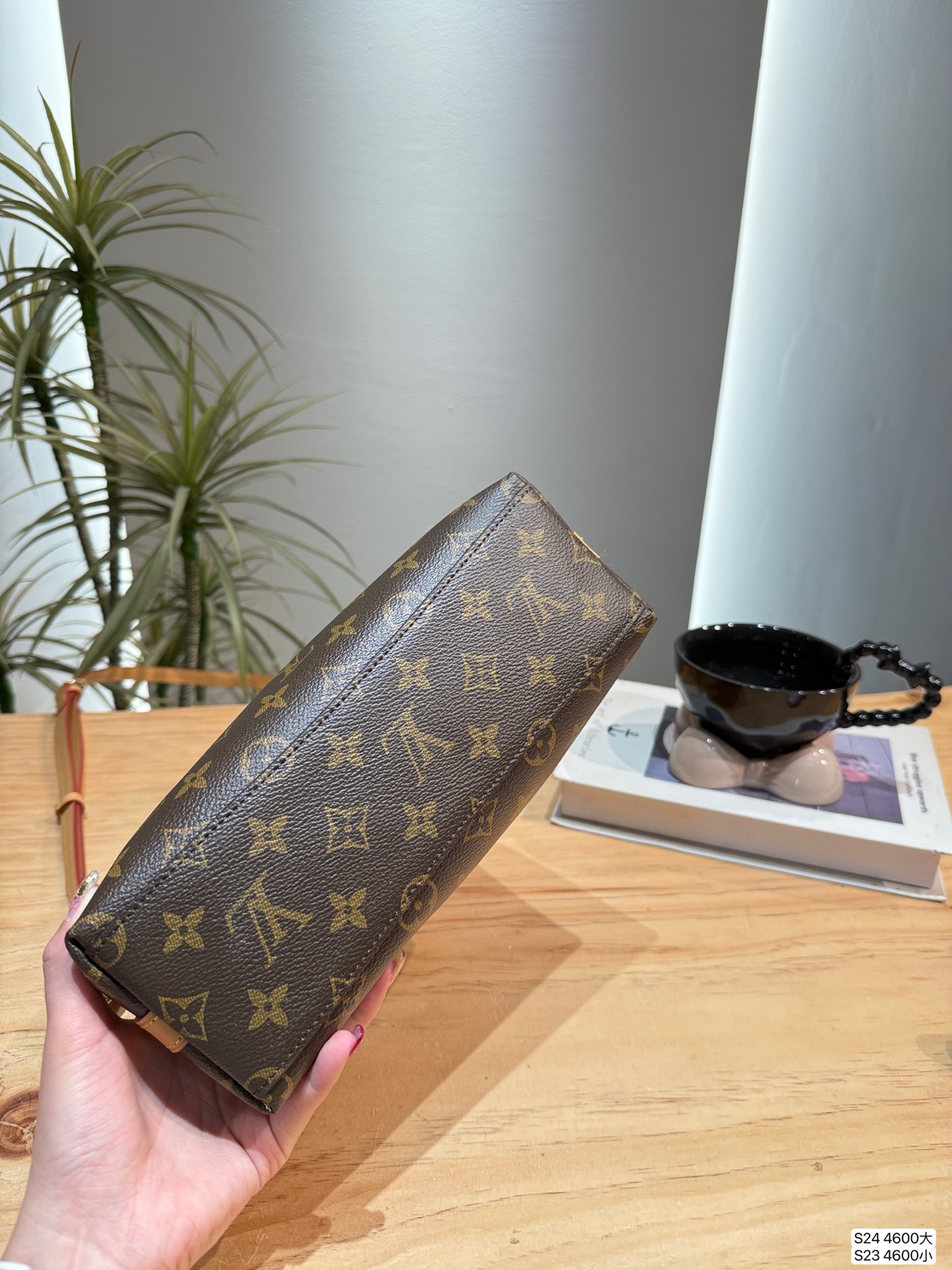 LV suly hobo armpit bag