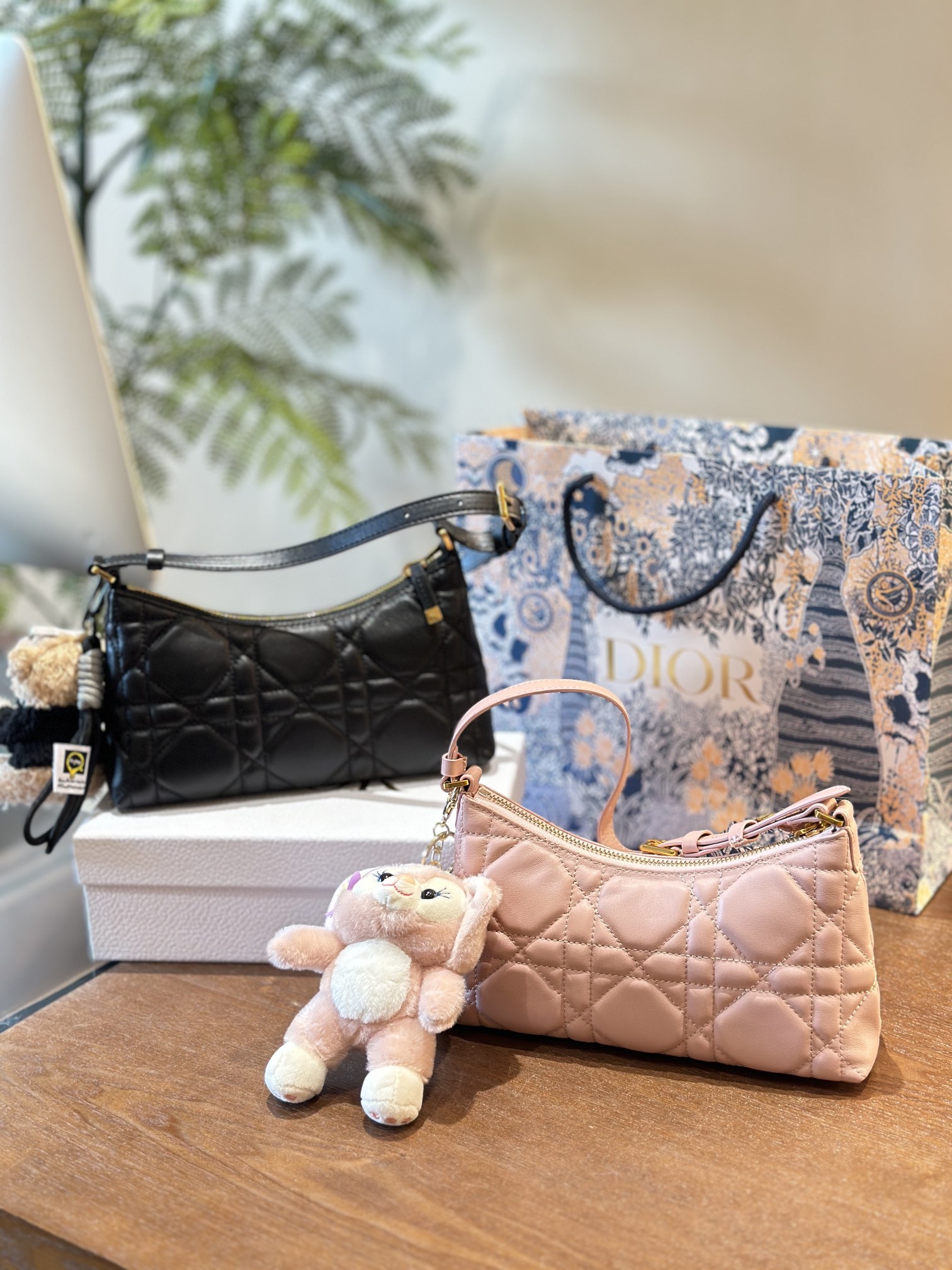 Dior HOBO underarm bag