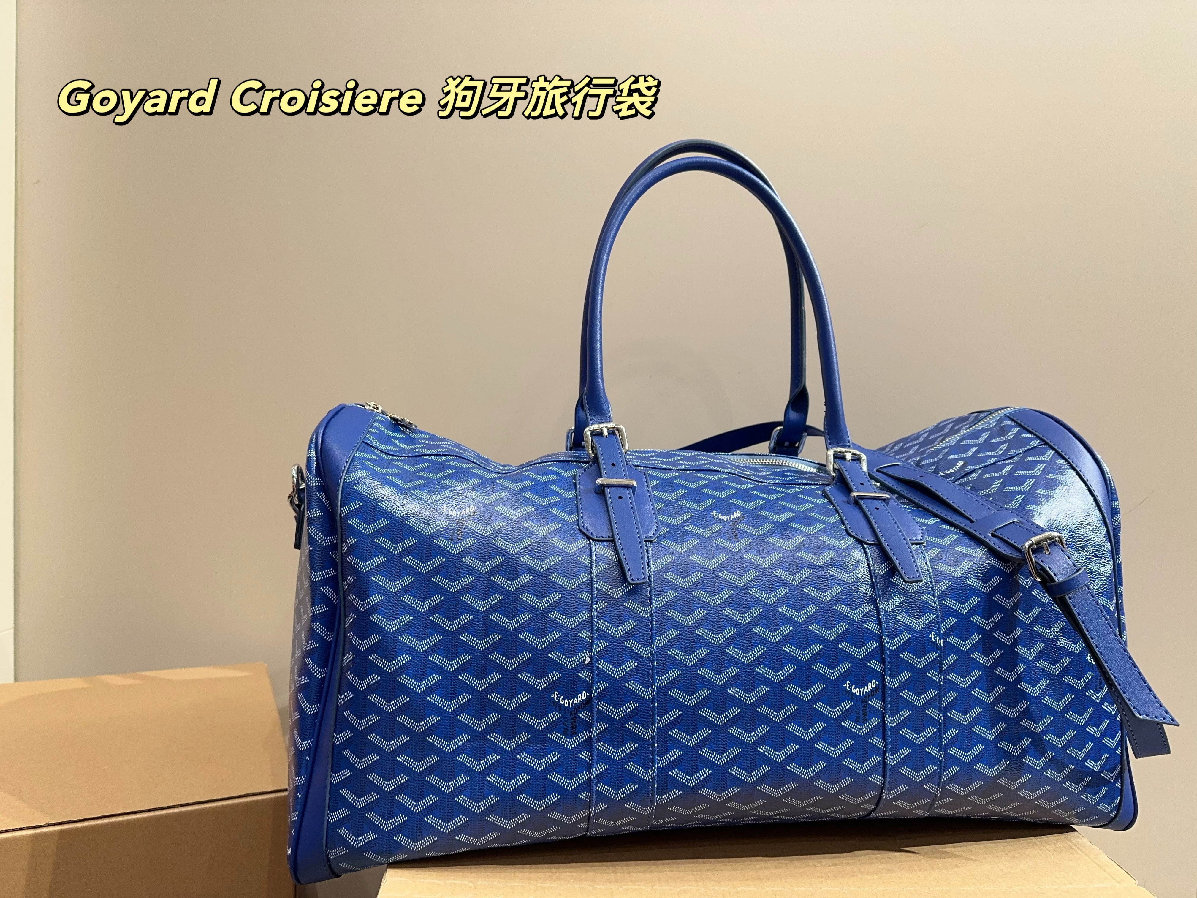 Goyard Croisiere  Travel Bag
