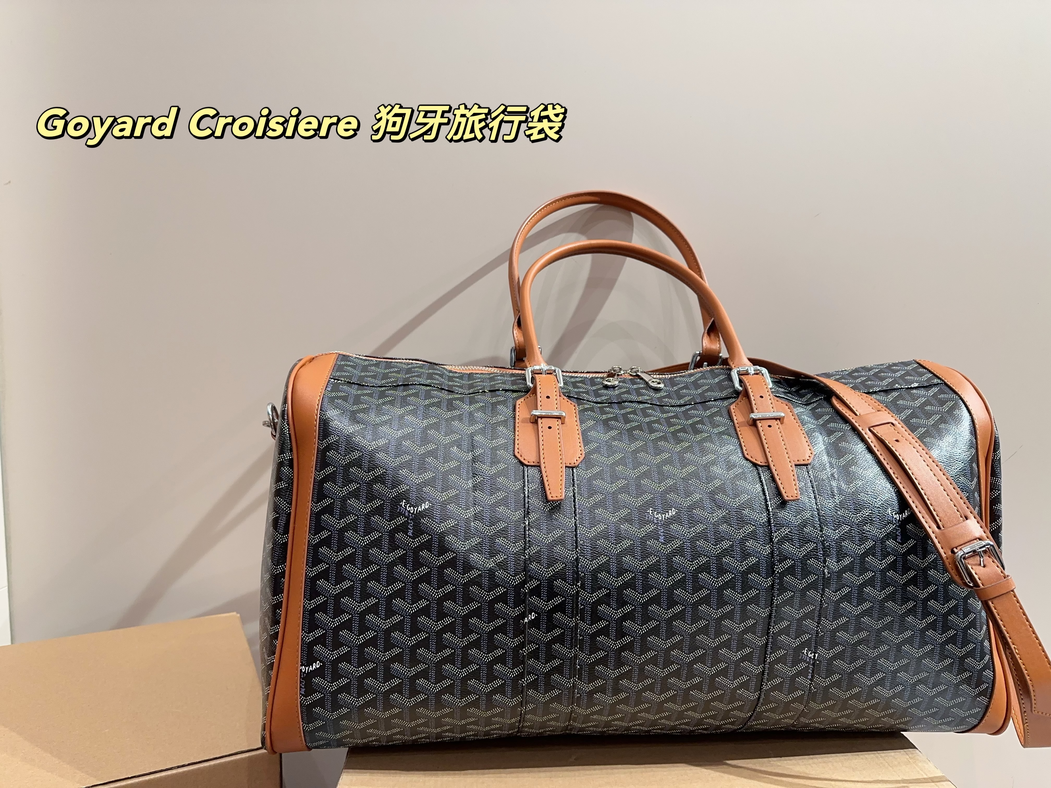 Goyard Croisiere  Travel Bag