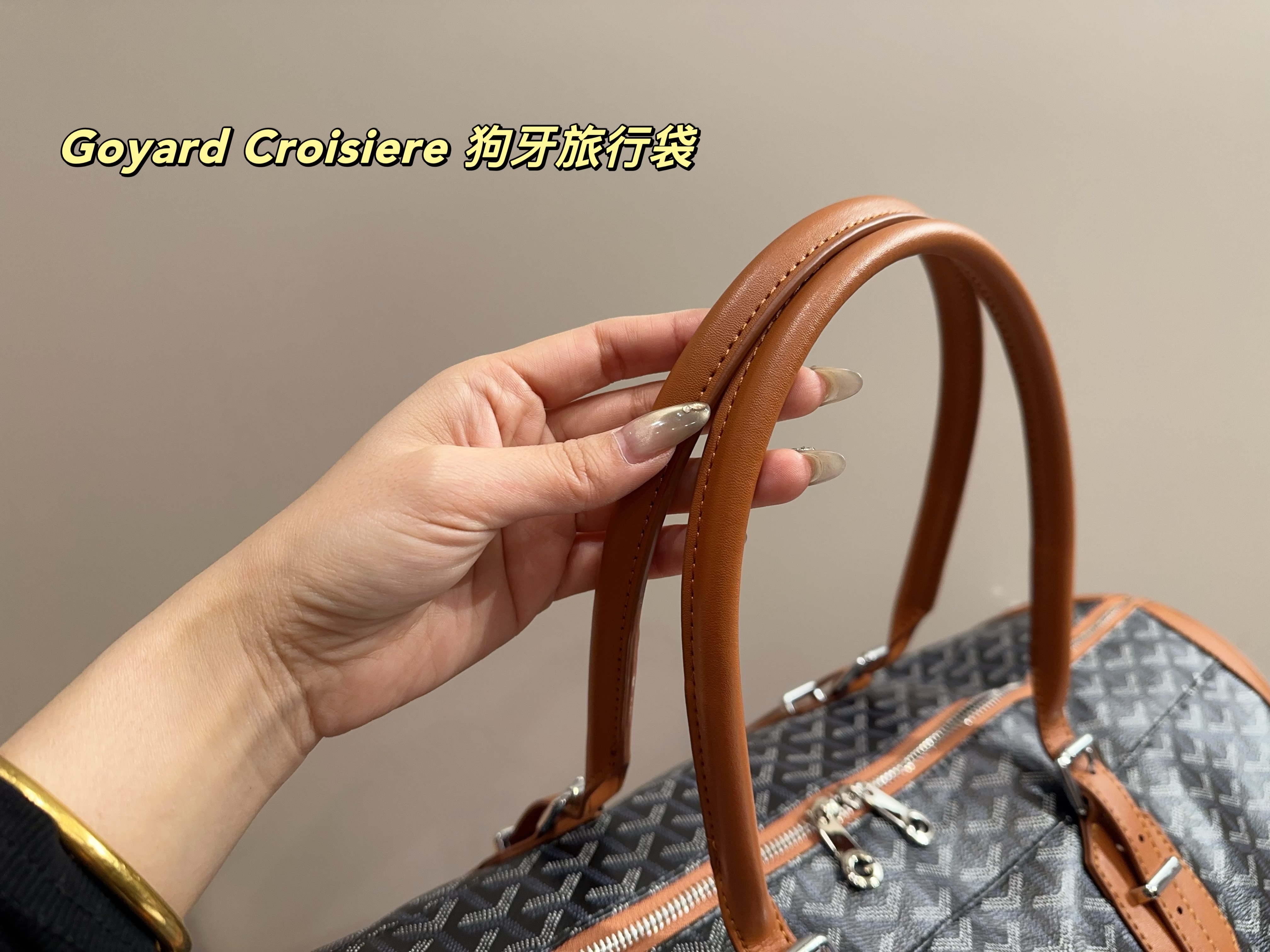 Goyard Croisiere  Travel Bag
