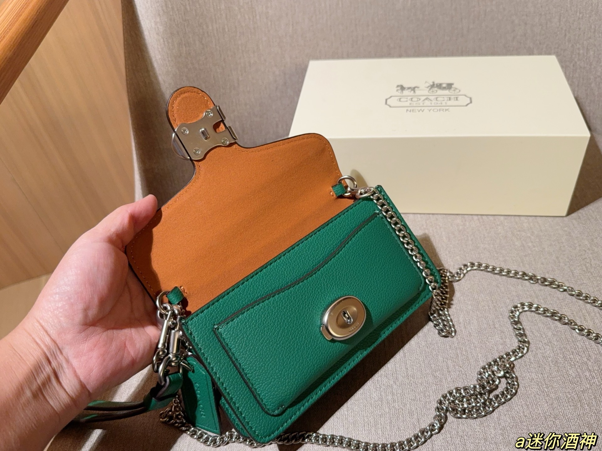 Coach Mini Tabby Chain Bag Dionysus Bag