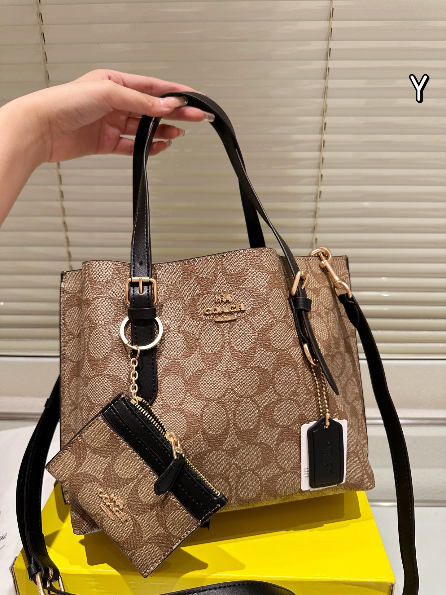 Coach mollie25 tote handbag