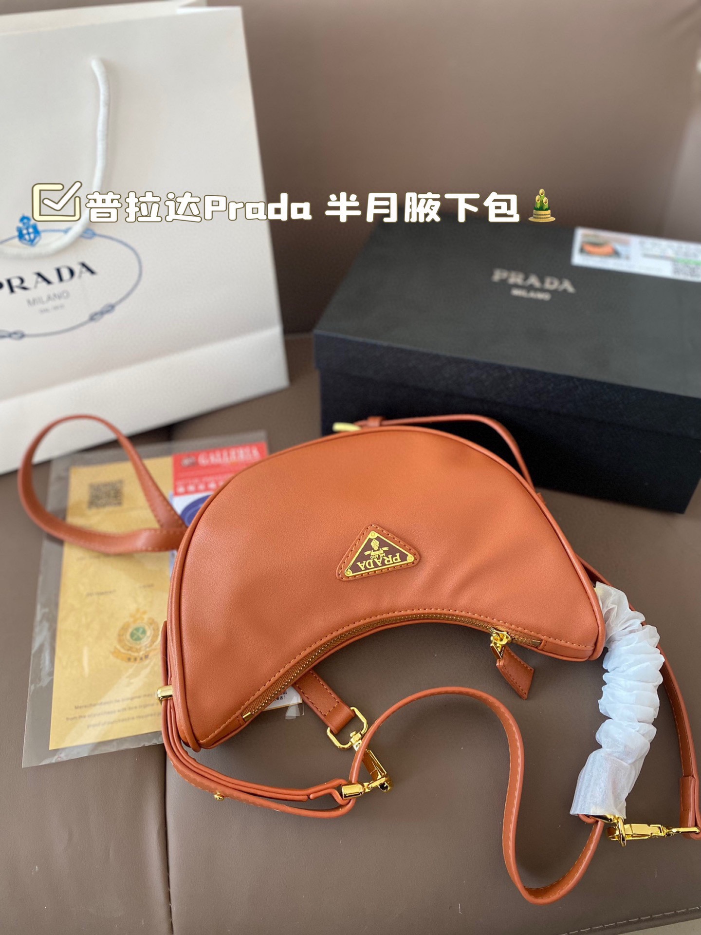 Prada Half Moon armpit Crossbody Bag
