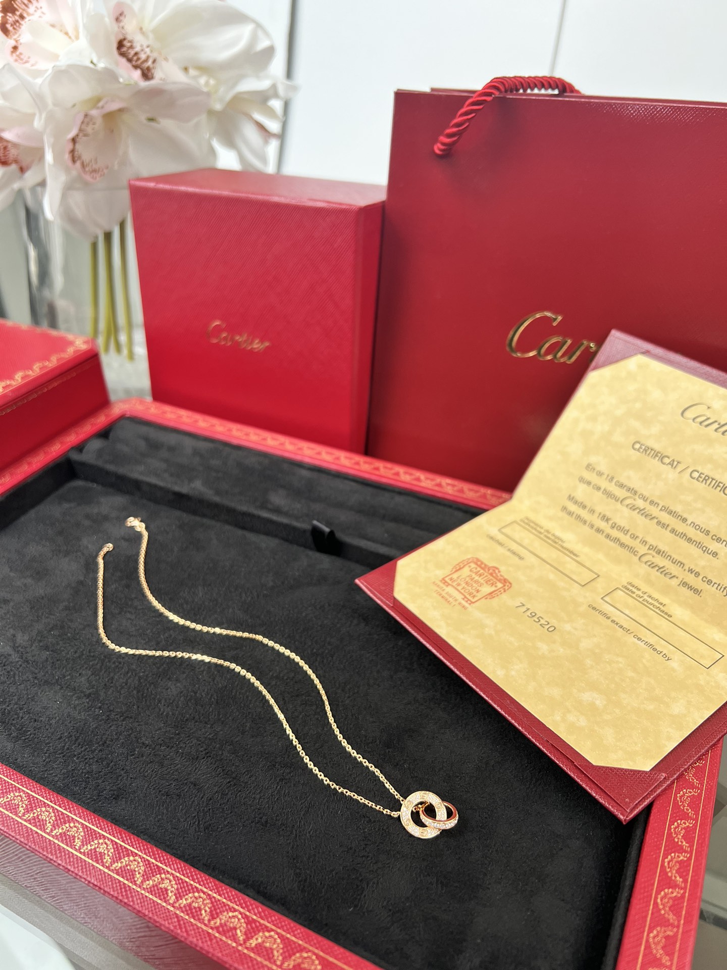 Cartier full of diamonds necklace