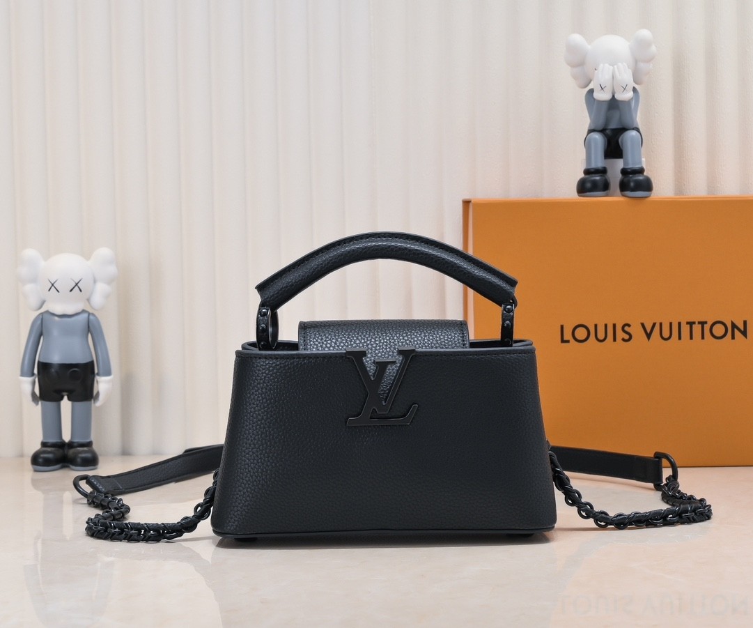 LV CAPUCINES EAST WEST handbag