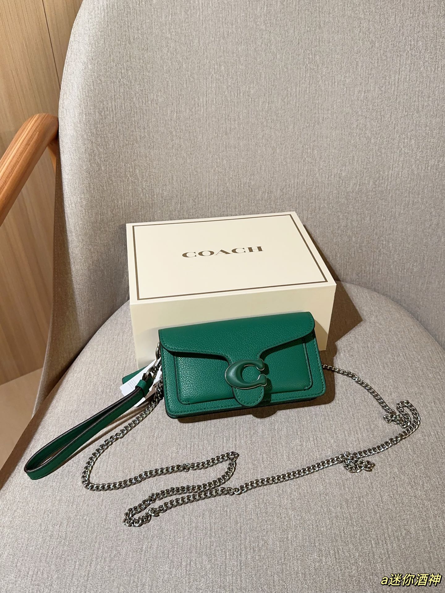 Coach Mini Tabby Chain Bag Dionysus Bag