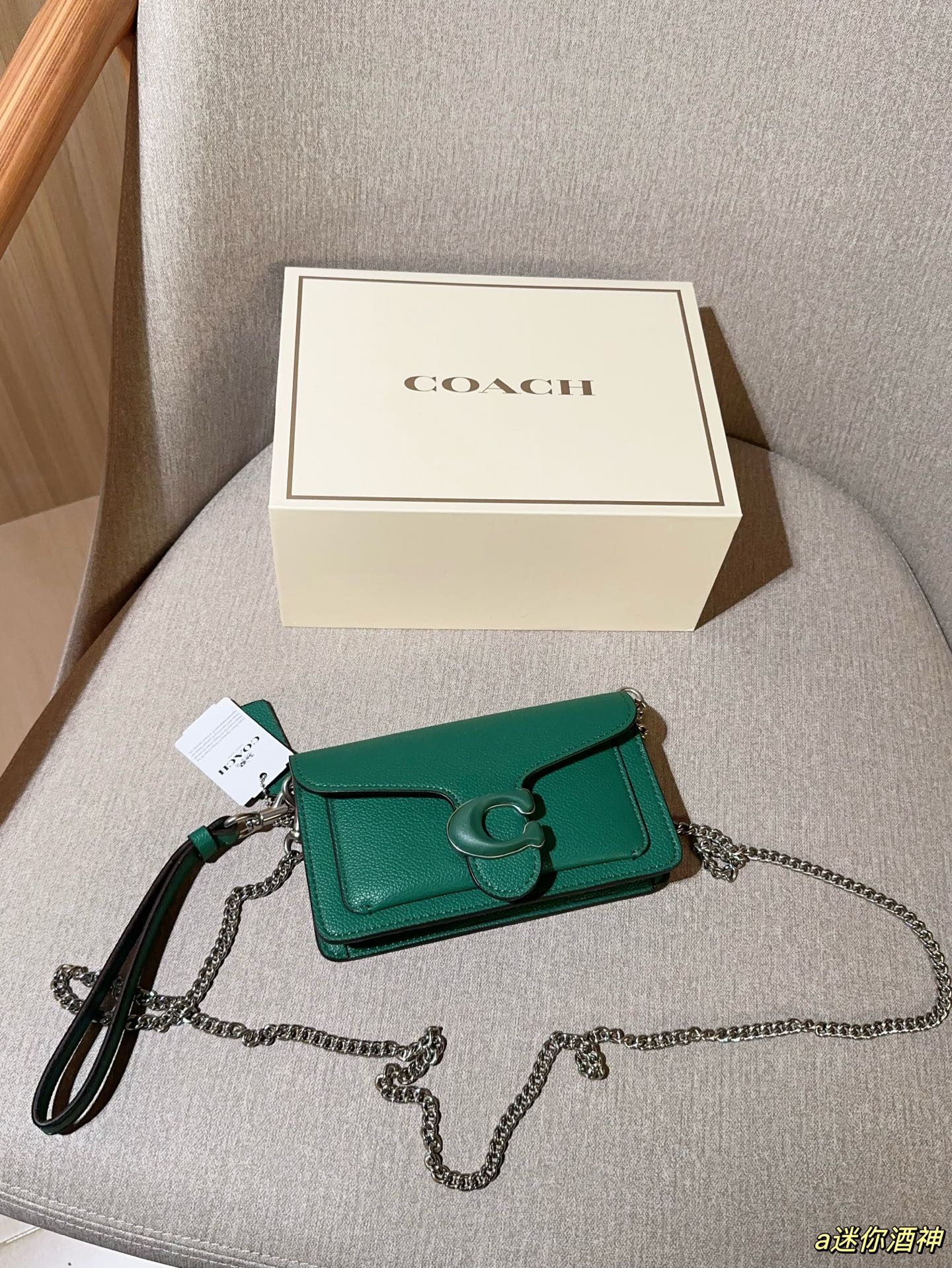 Coach Mini Tabby Chain Bag Dionysus Bag