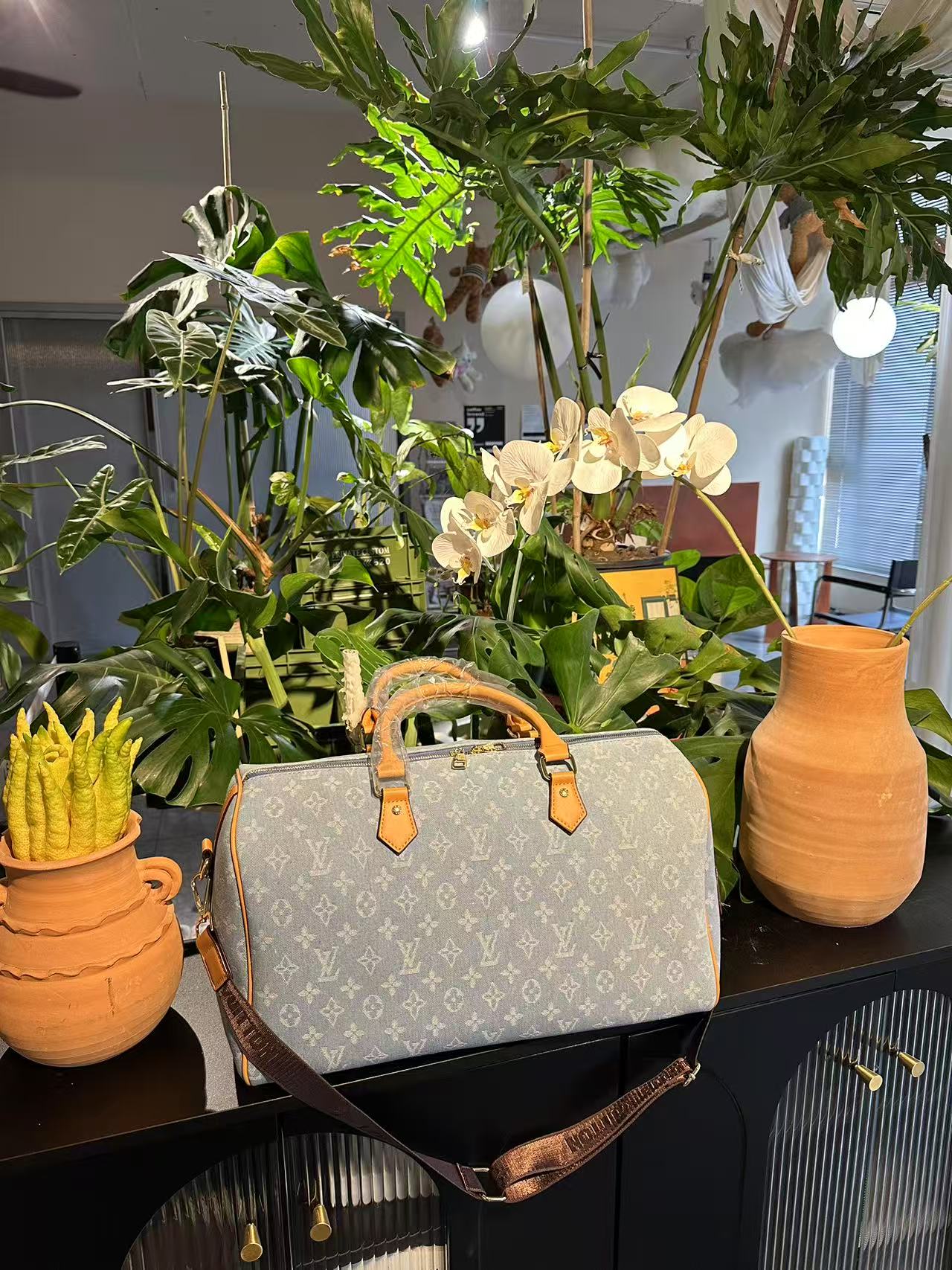 LV Travel Bag Handbag Cowboy