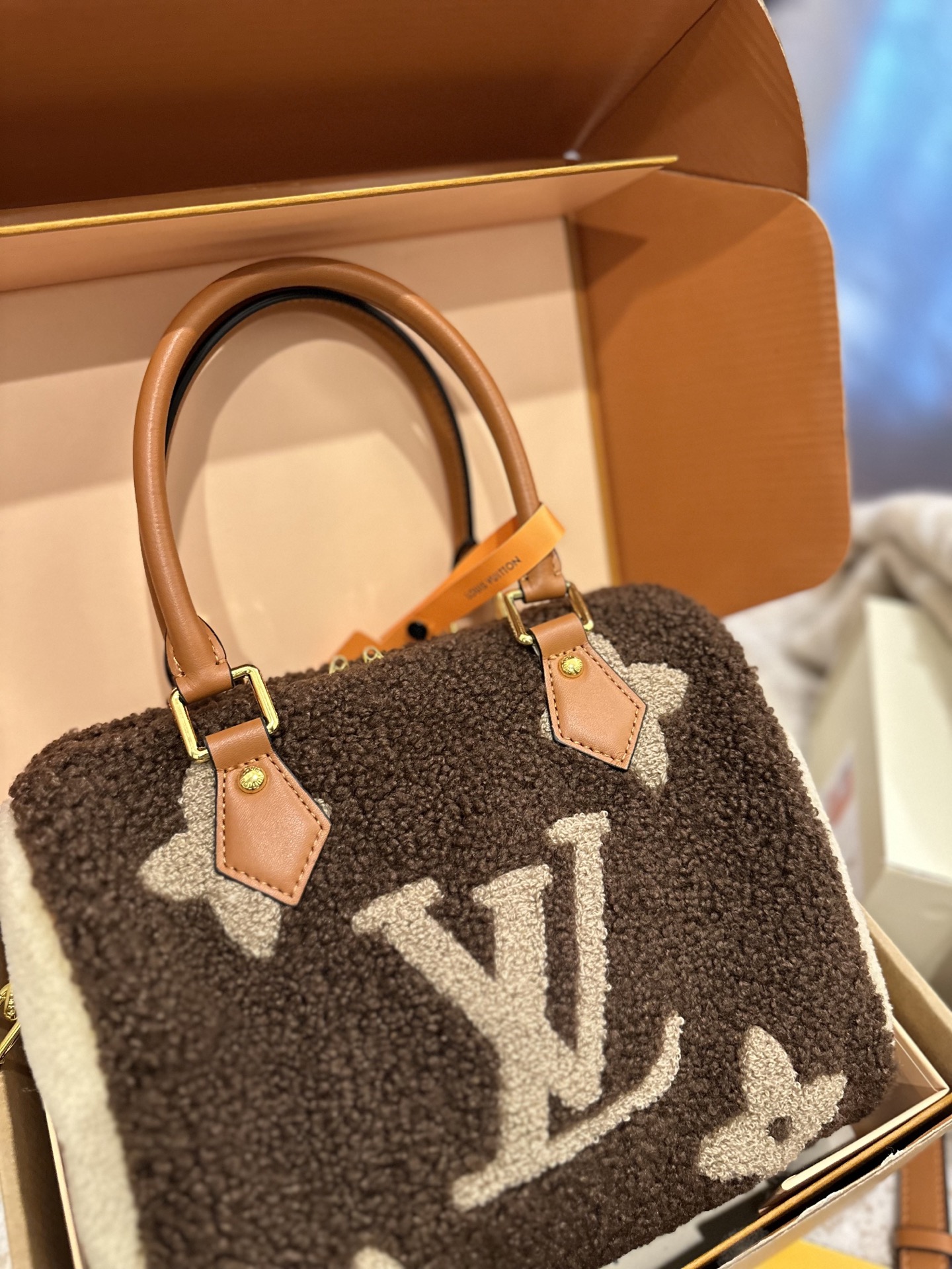 LV Monogram Teddy speedy bag