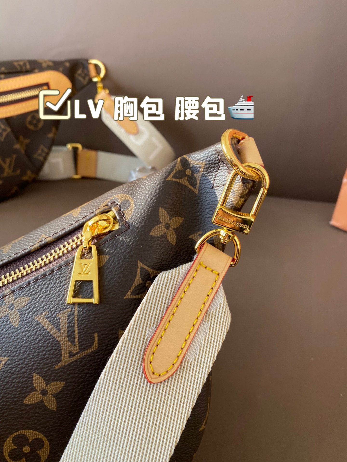 LV chest bag