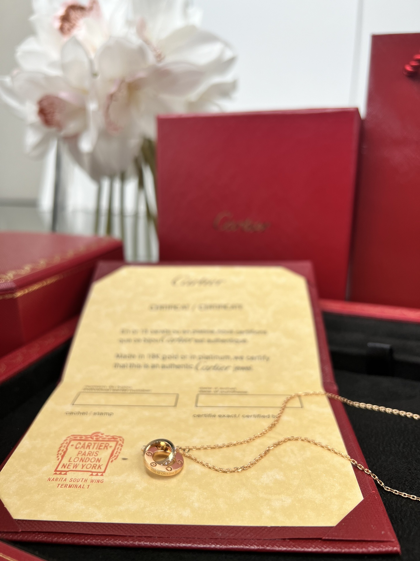 Cartier full of diamonds necklace