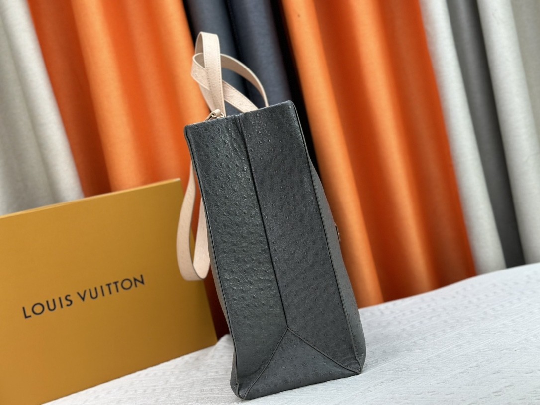 LV shoer maison fondee en 1854 handbag